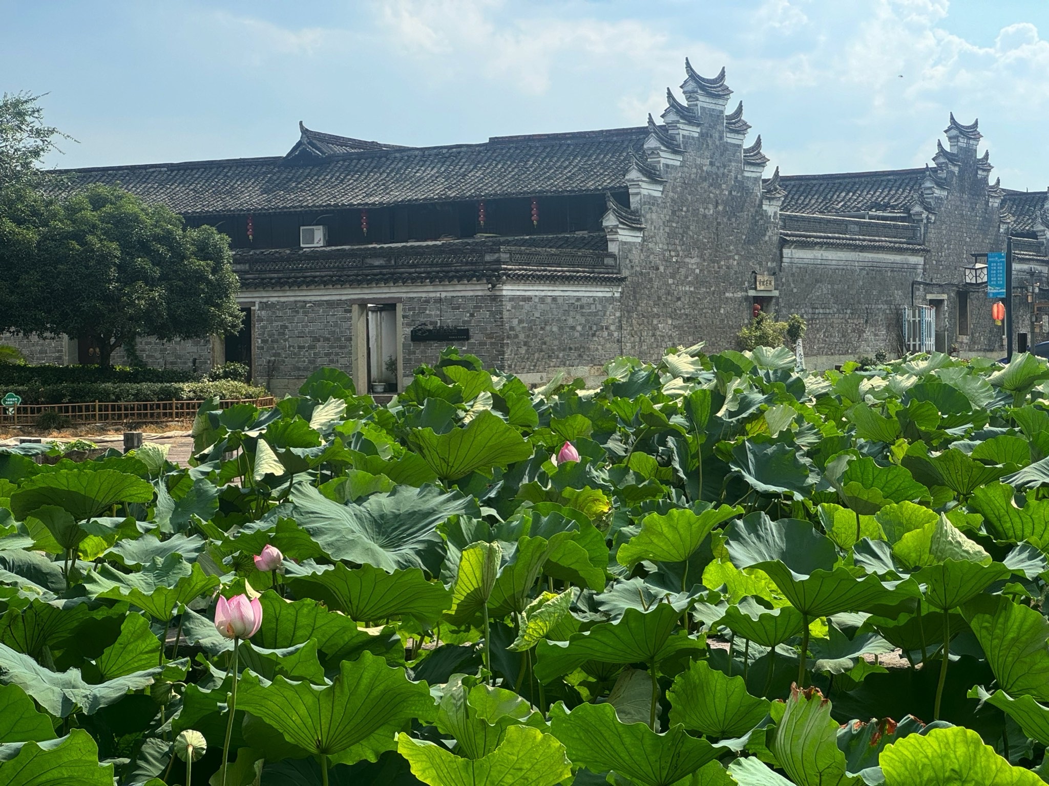 走马塘
