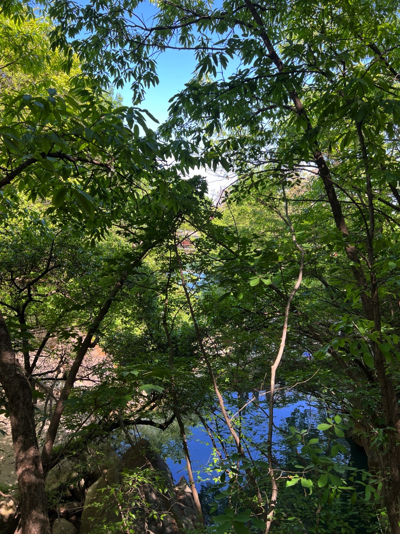 凰窝风景区旅行图片