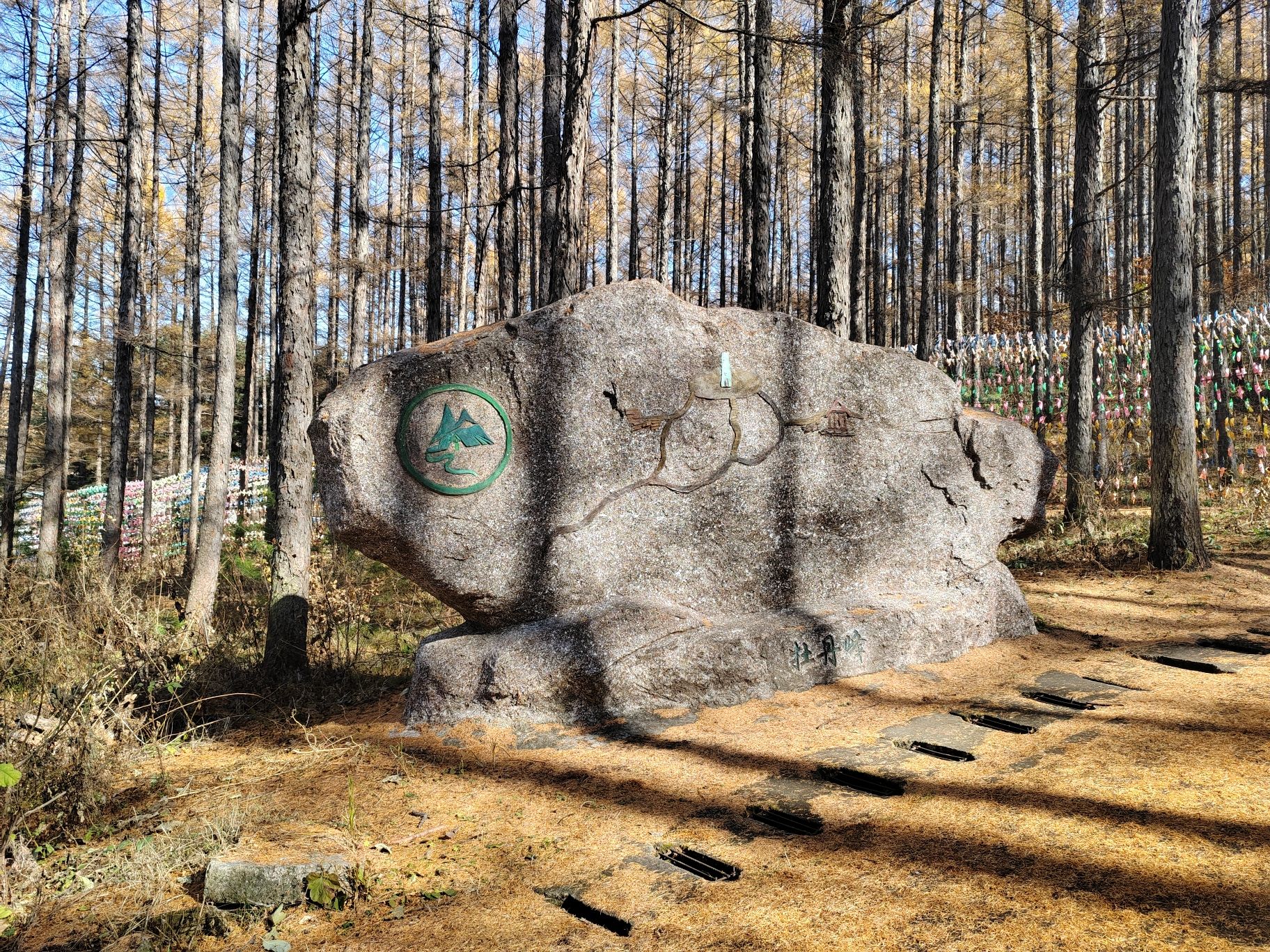 牡丹峰国家森林公园旅行图片