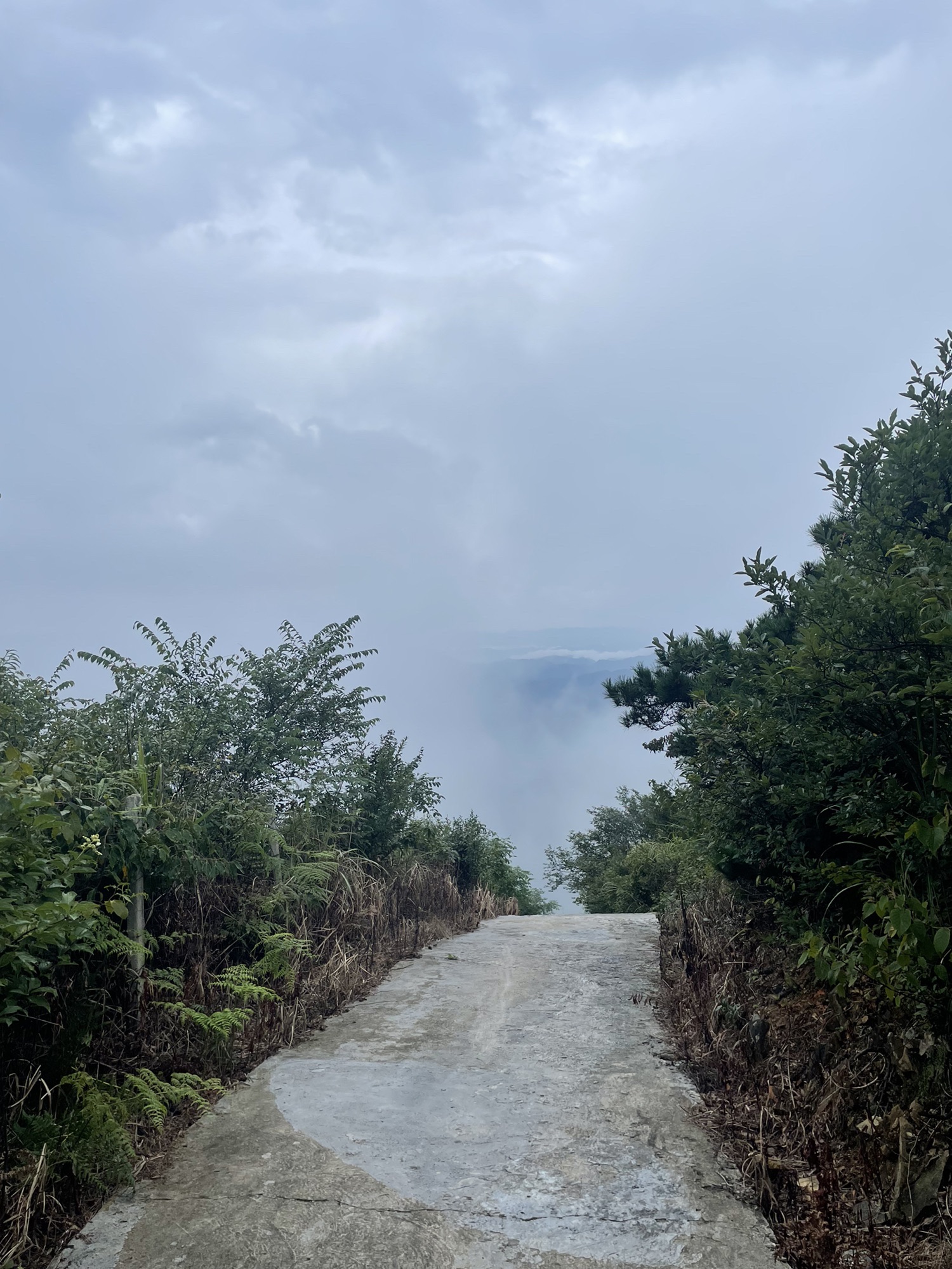 雪峰山国家森林公园