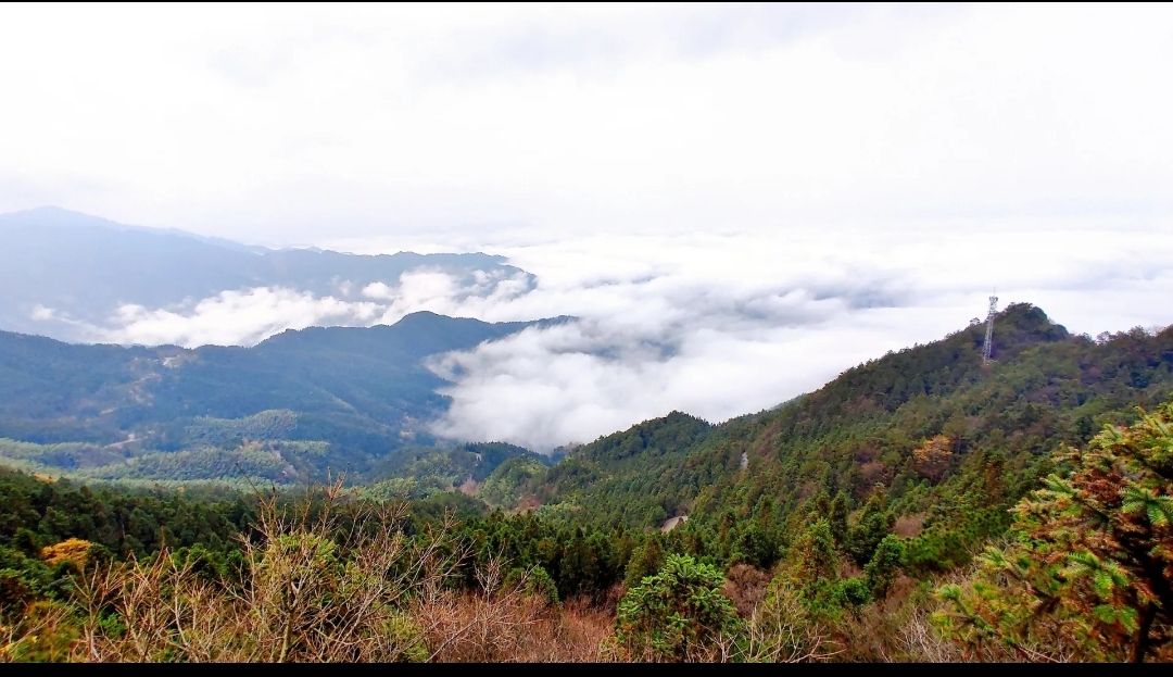 雪峰山国家森林公园旅行图片