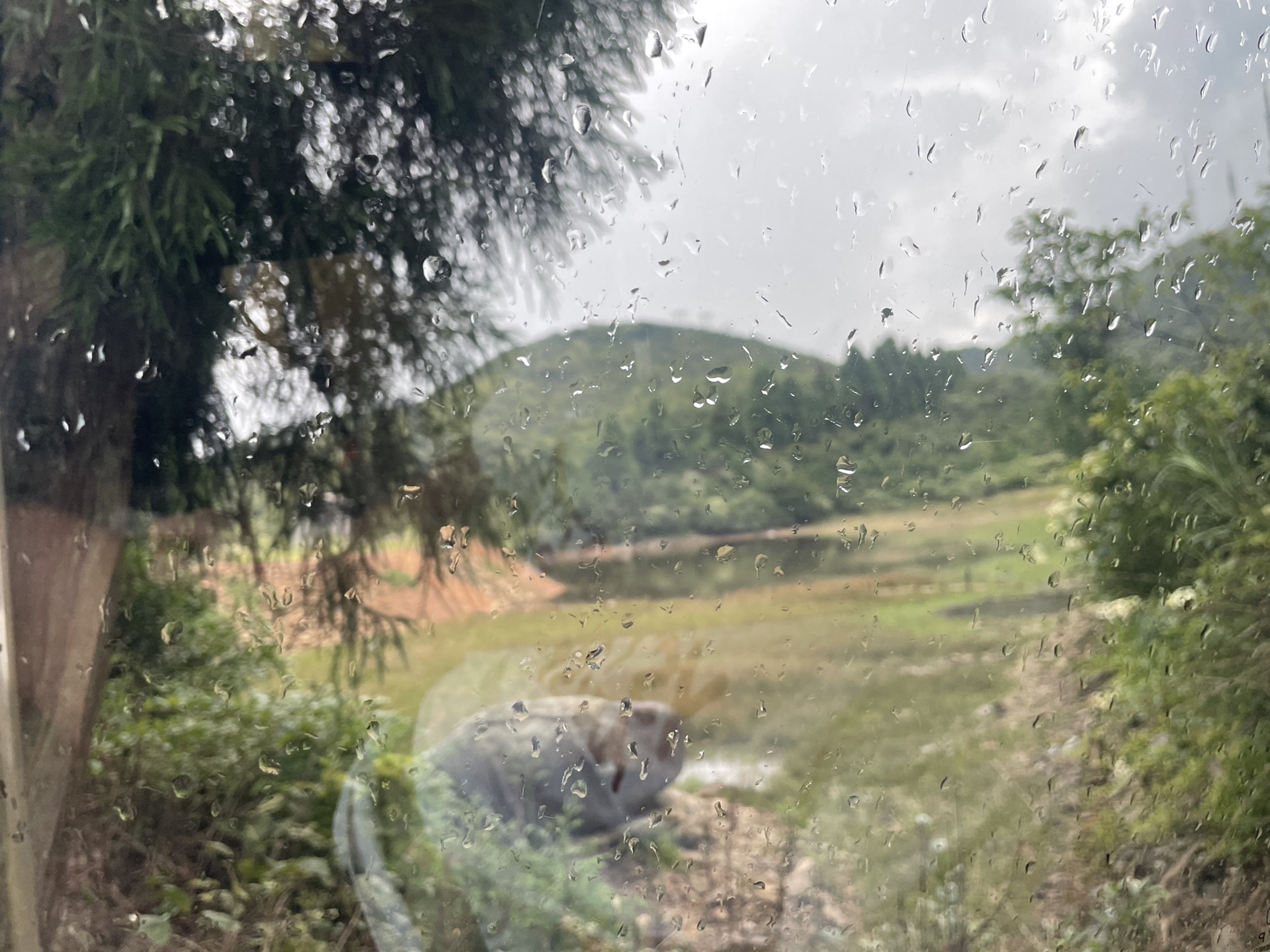 雪峰山国家森林公园旅行图片