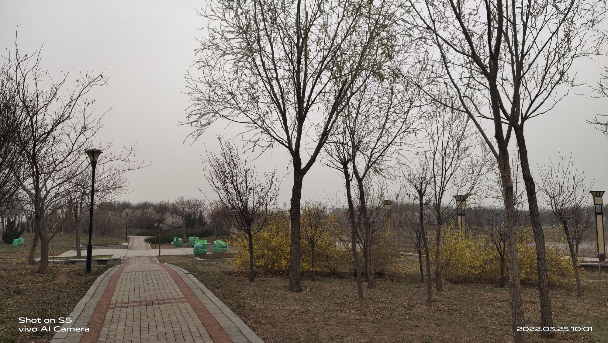 七星湖公园旅行图片