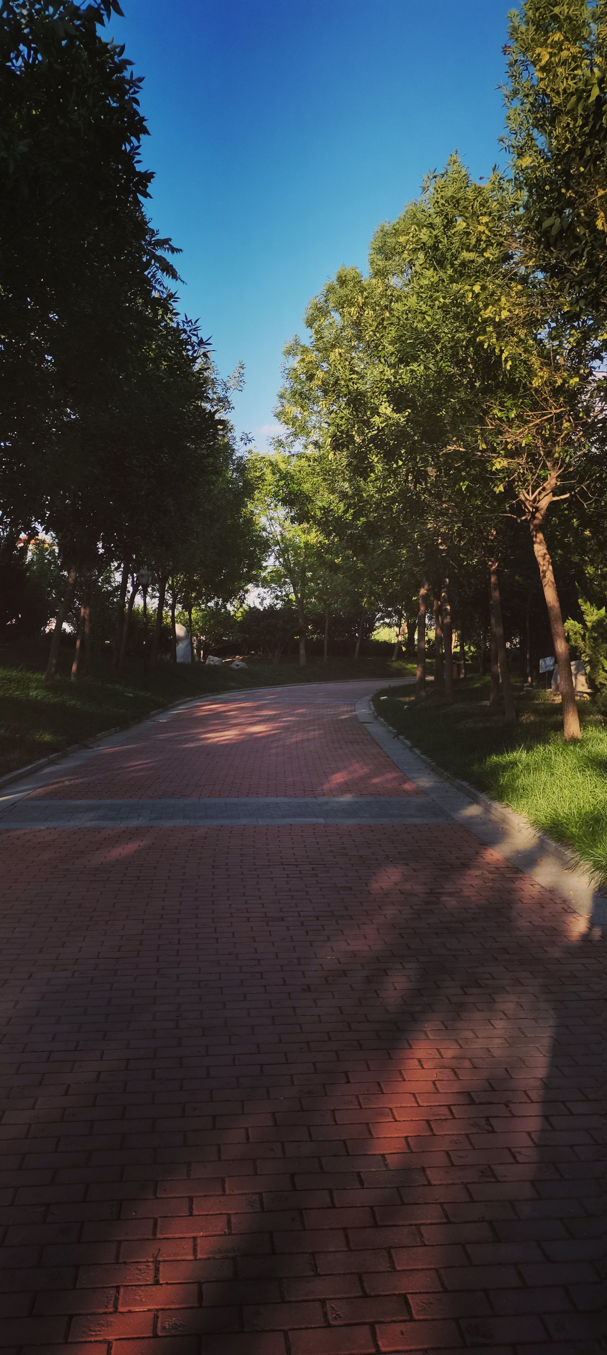 七星湖公园旅行图片