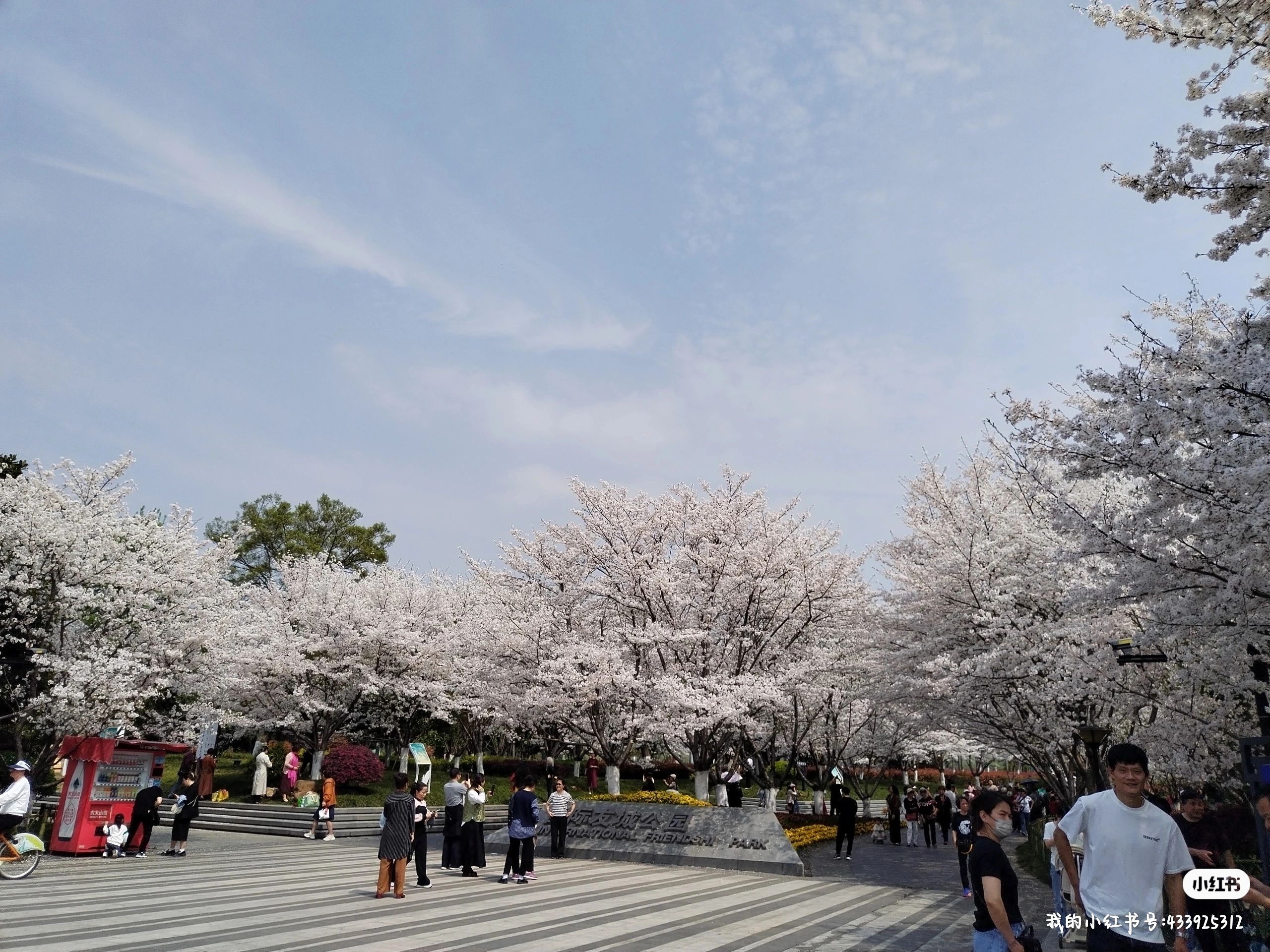 金华国际友城公园