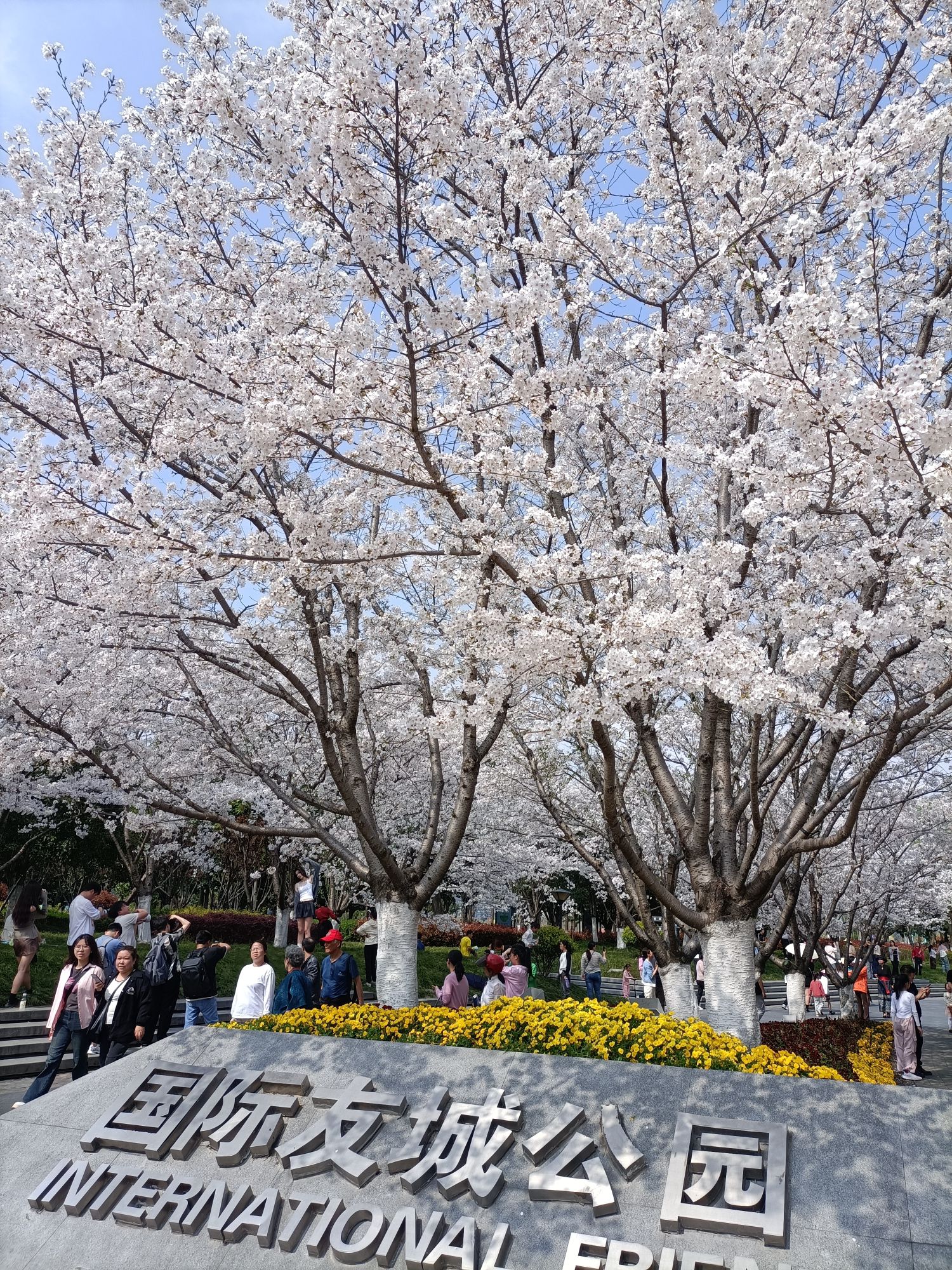 金华国际友城公园旅行图片