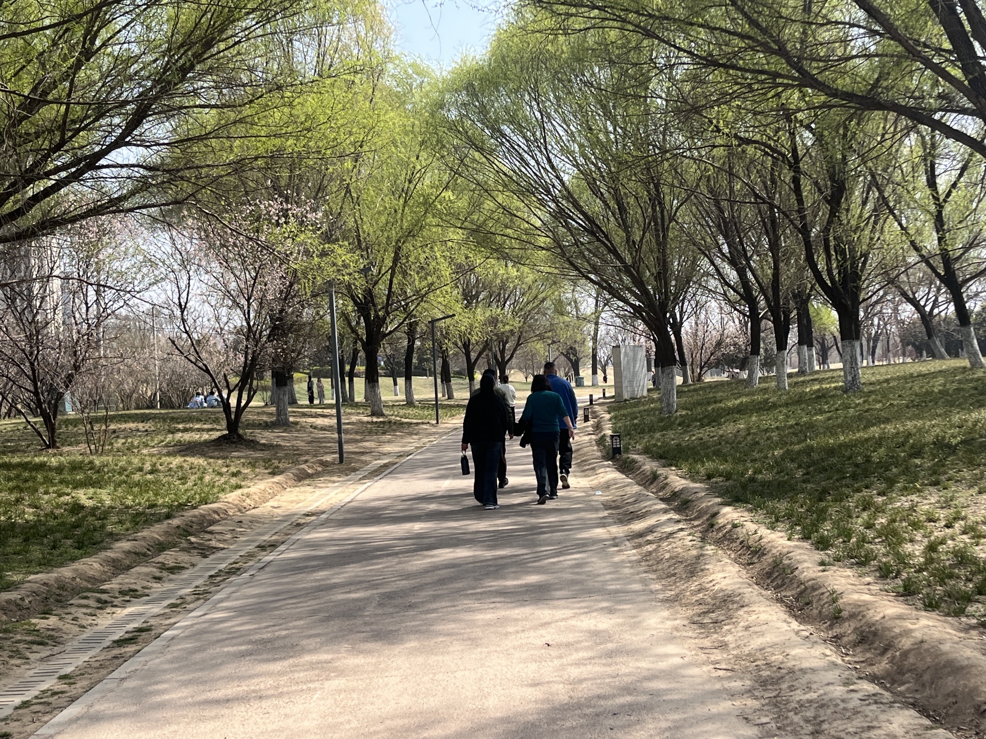 沙颍河国家湿地公园旅行图片