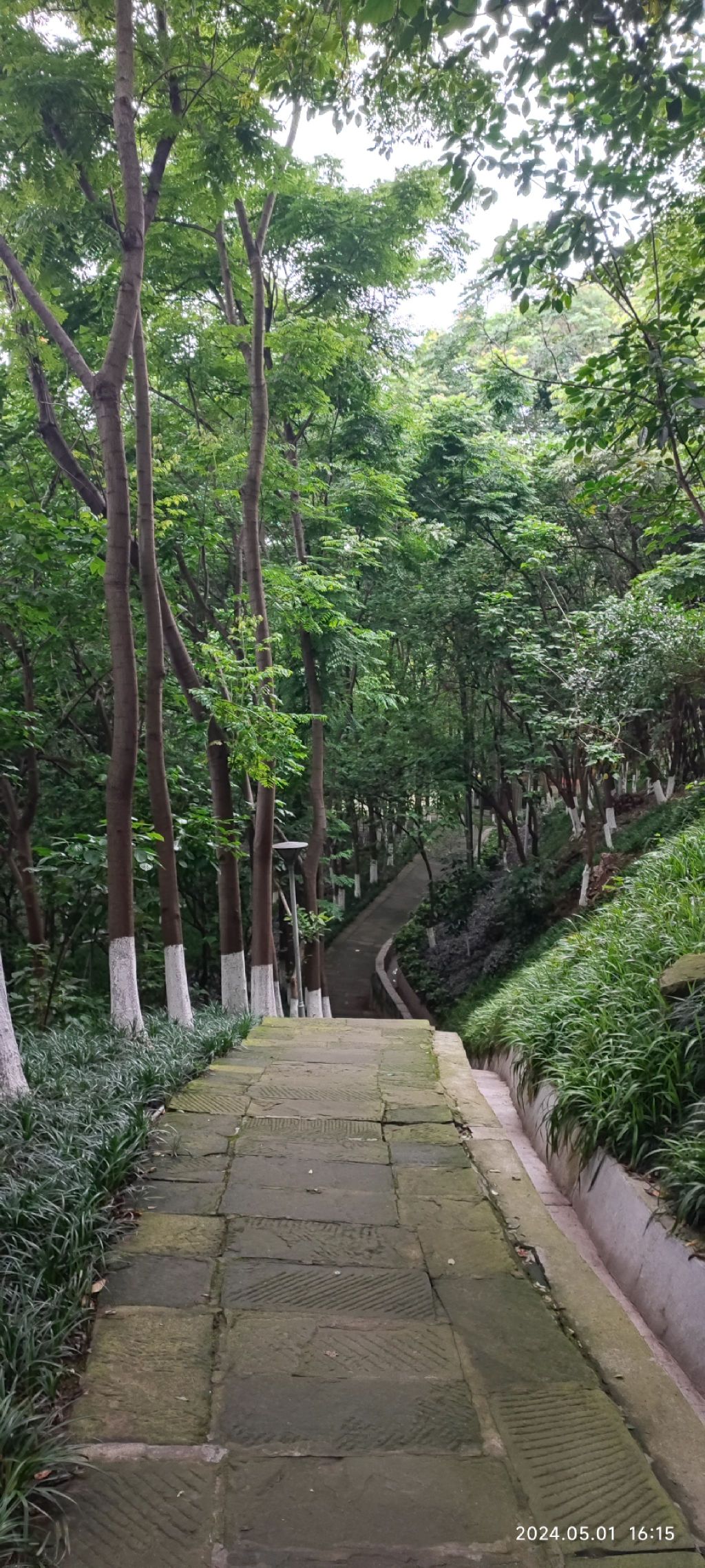 木崖公园
