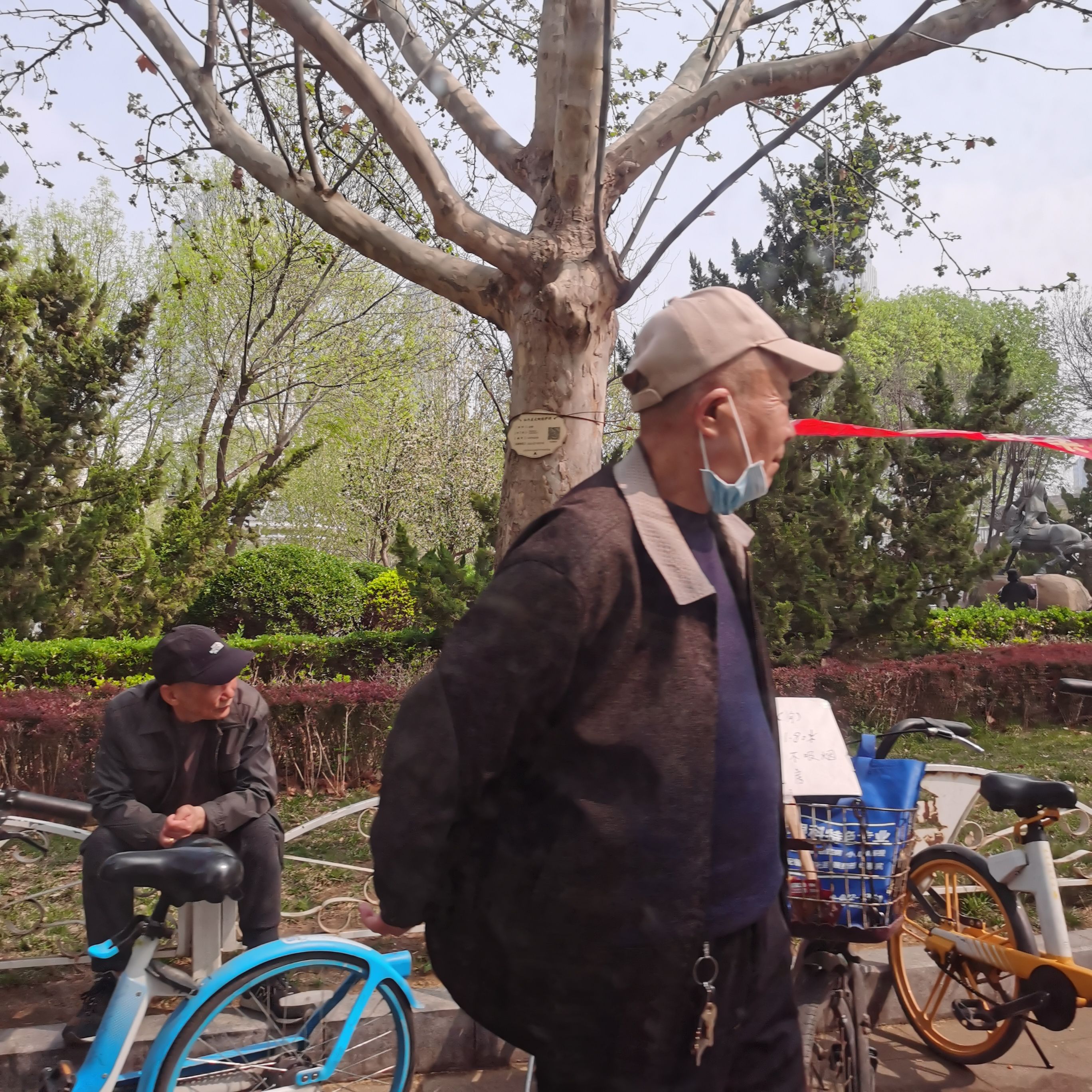 中心公园旅行图片