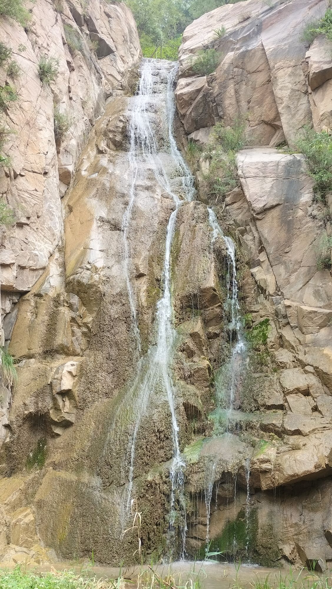 九龙山