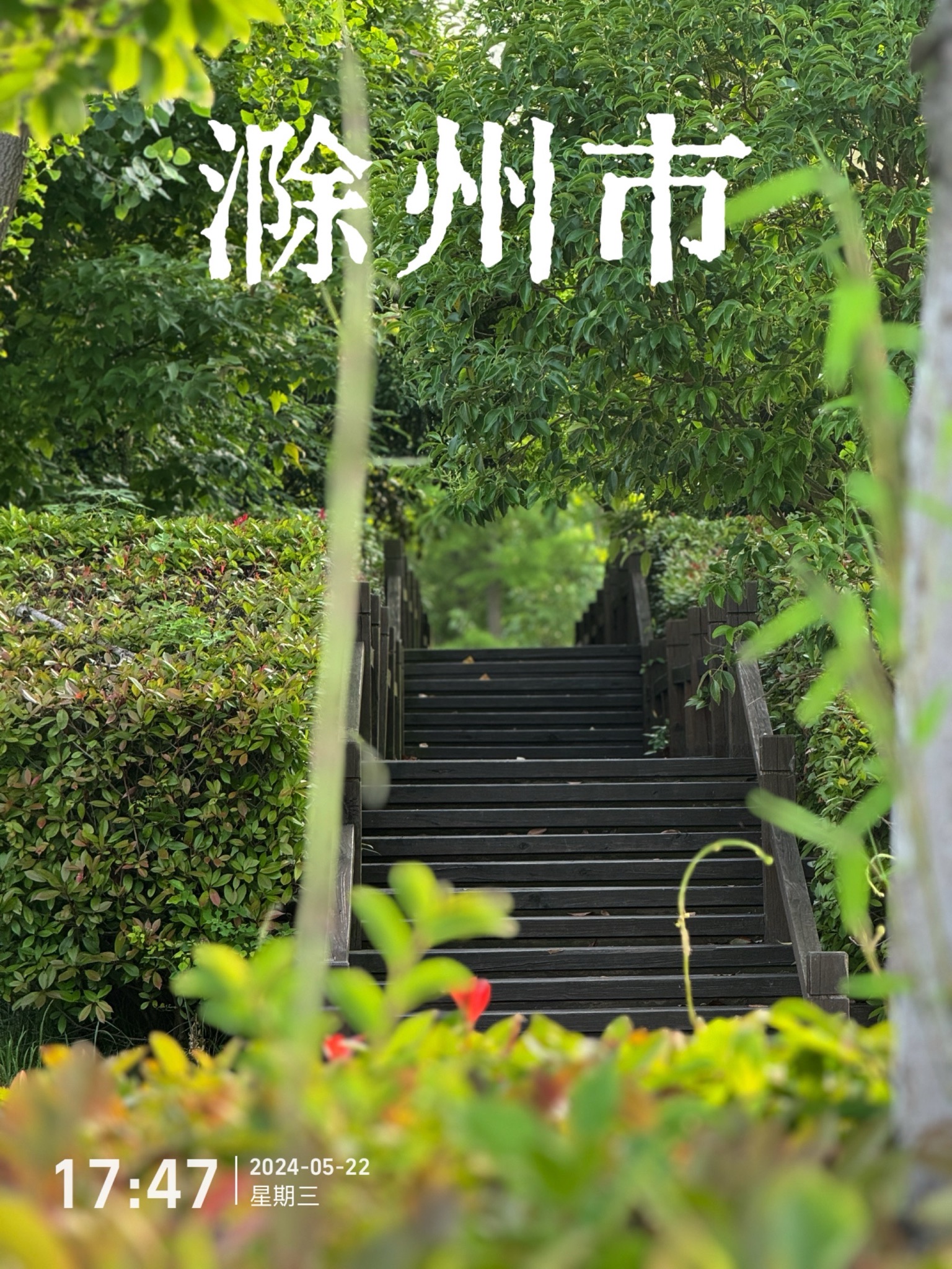 双洪生态文化公园旅行图片