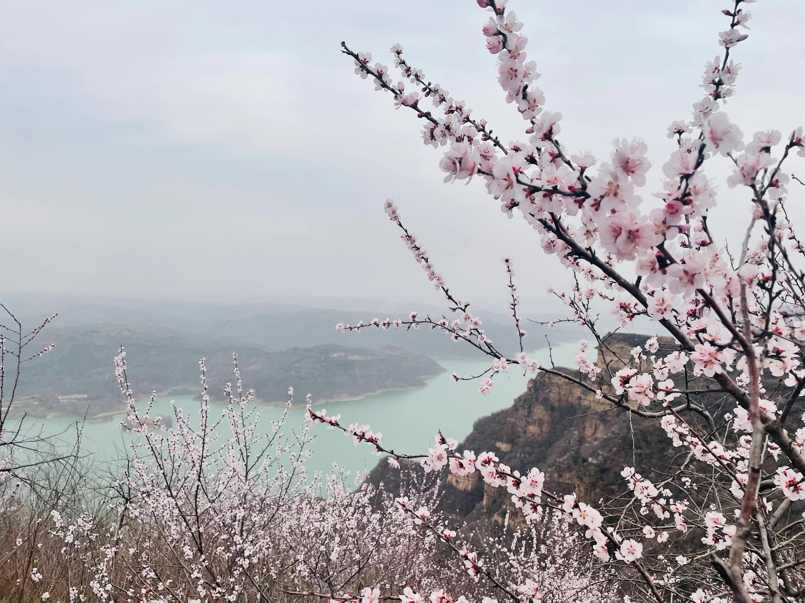 荆紫仙山景区