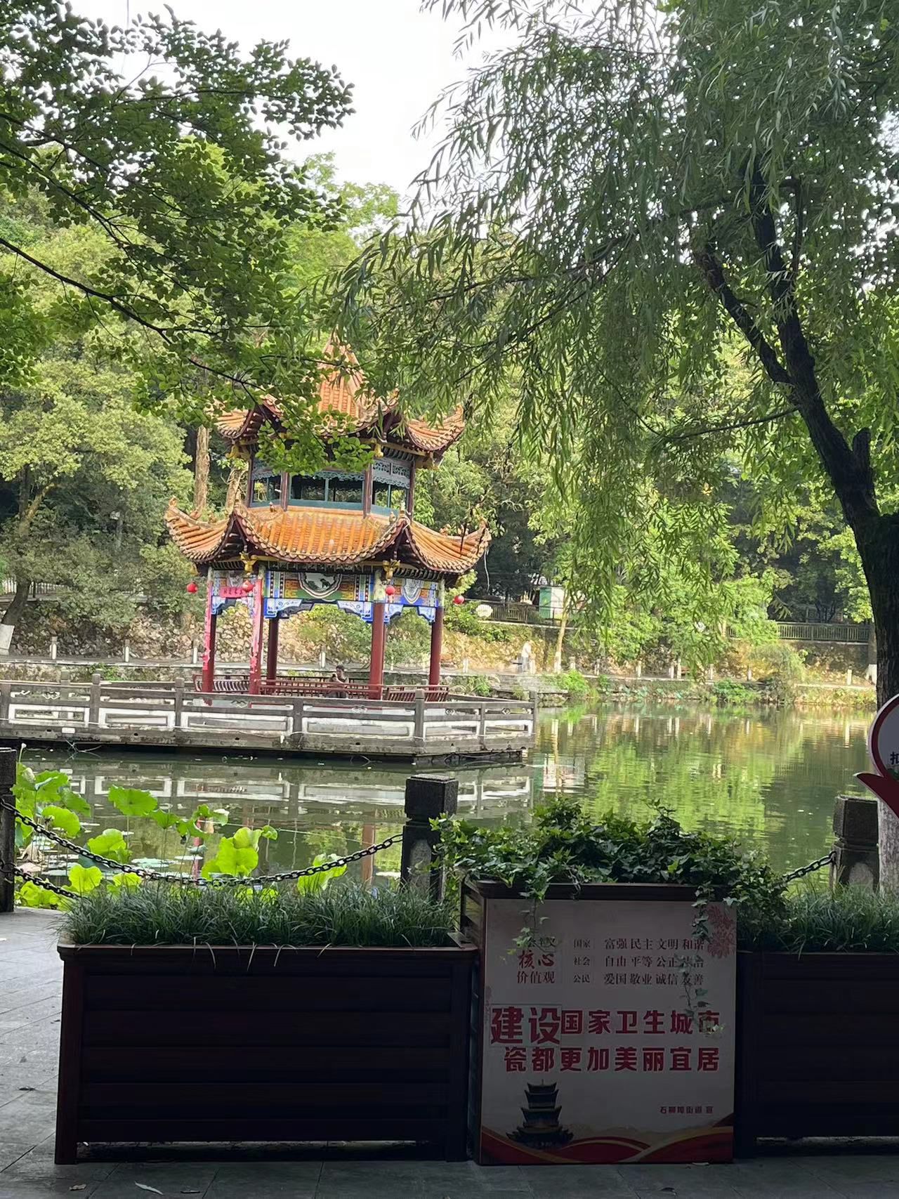 莲花塘