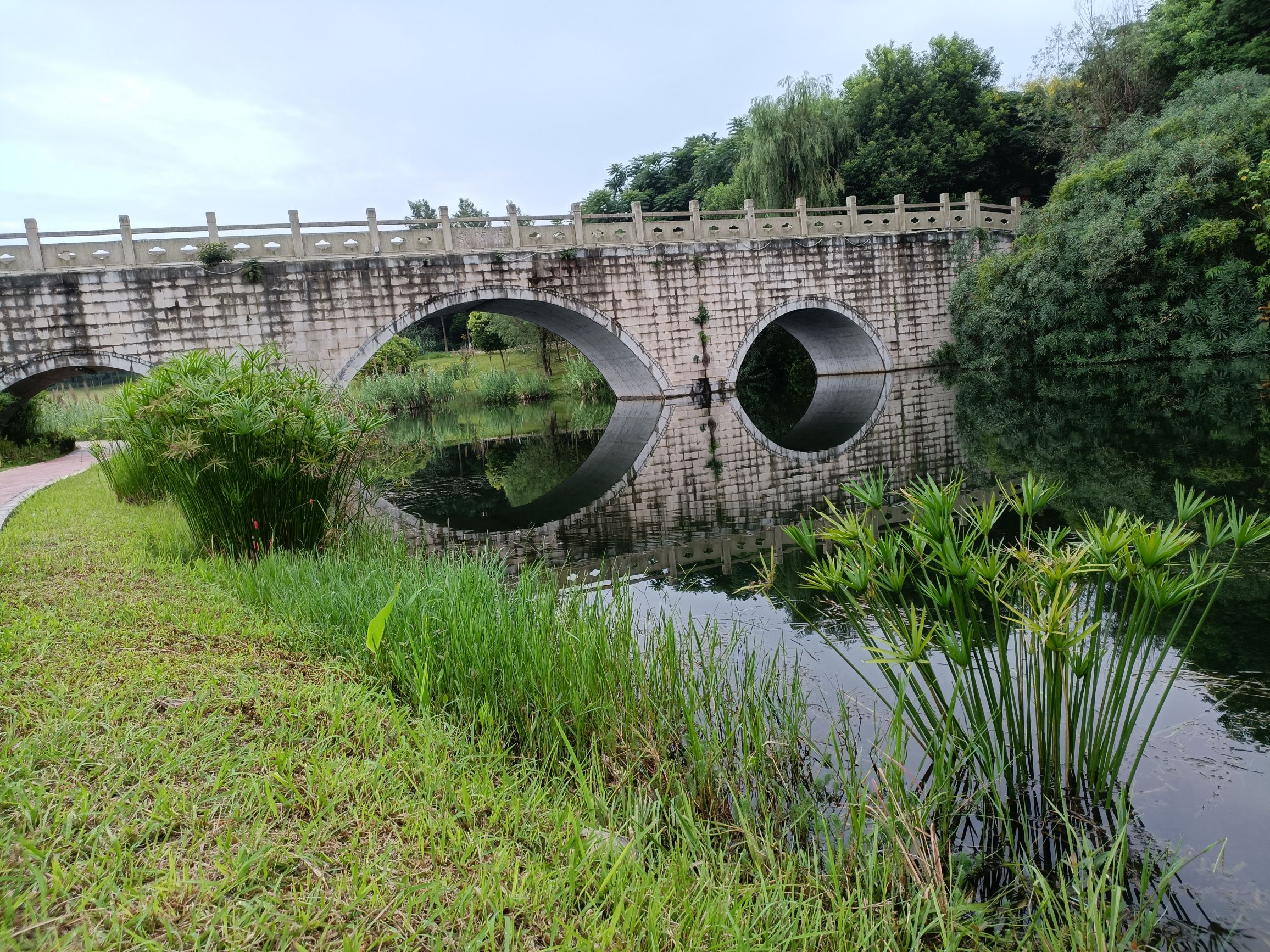 东坡城市湿地公园