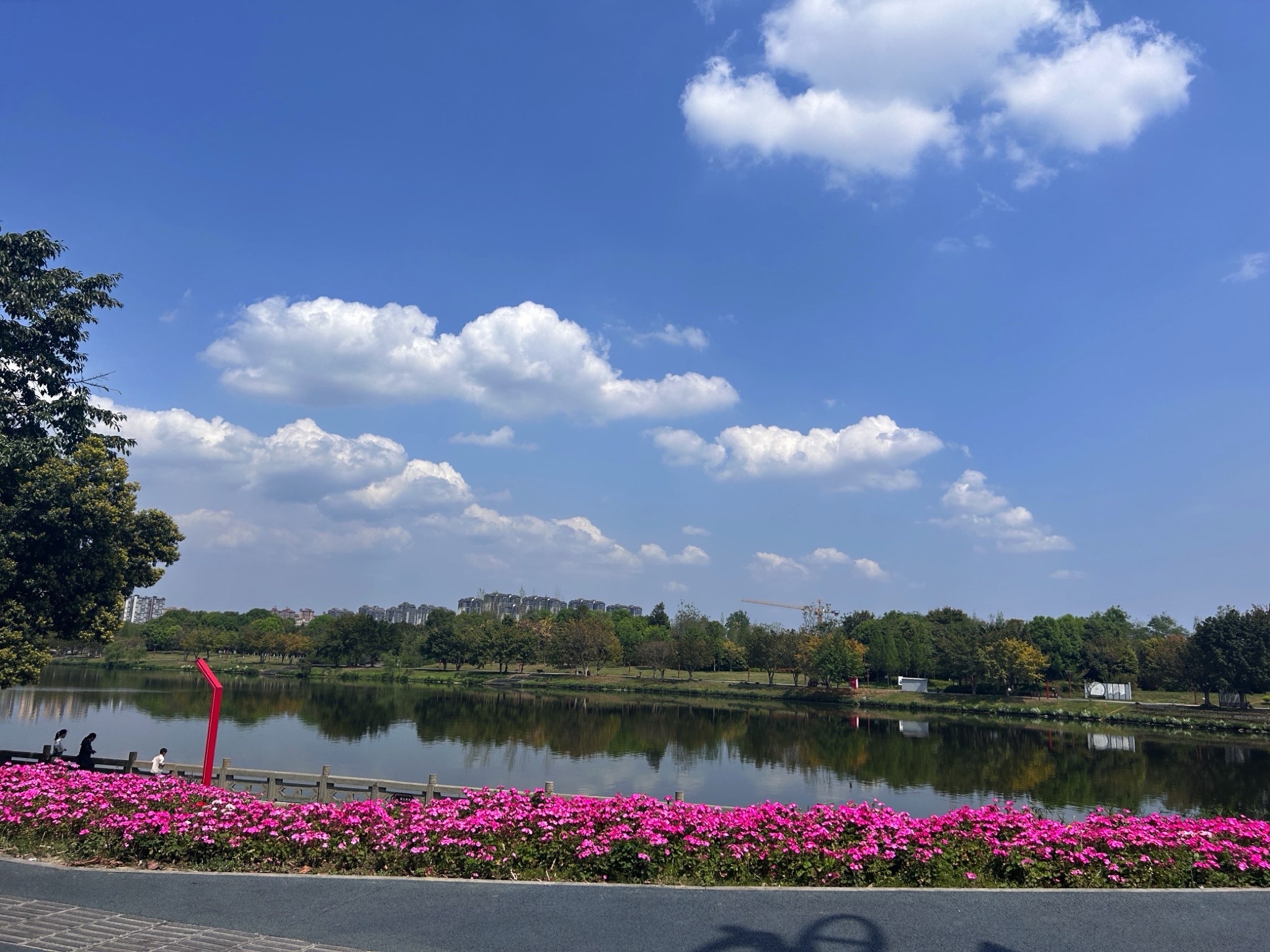 东坡城市湿地公园旅行图片