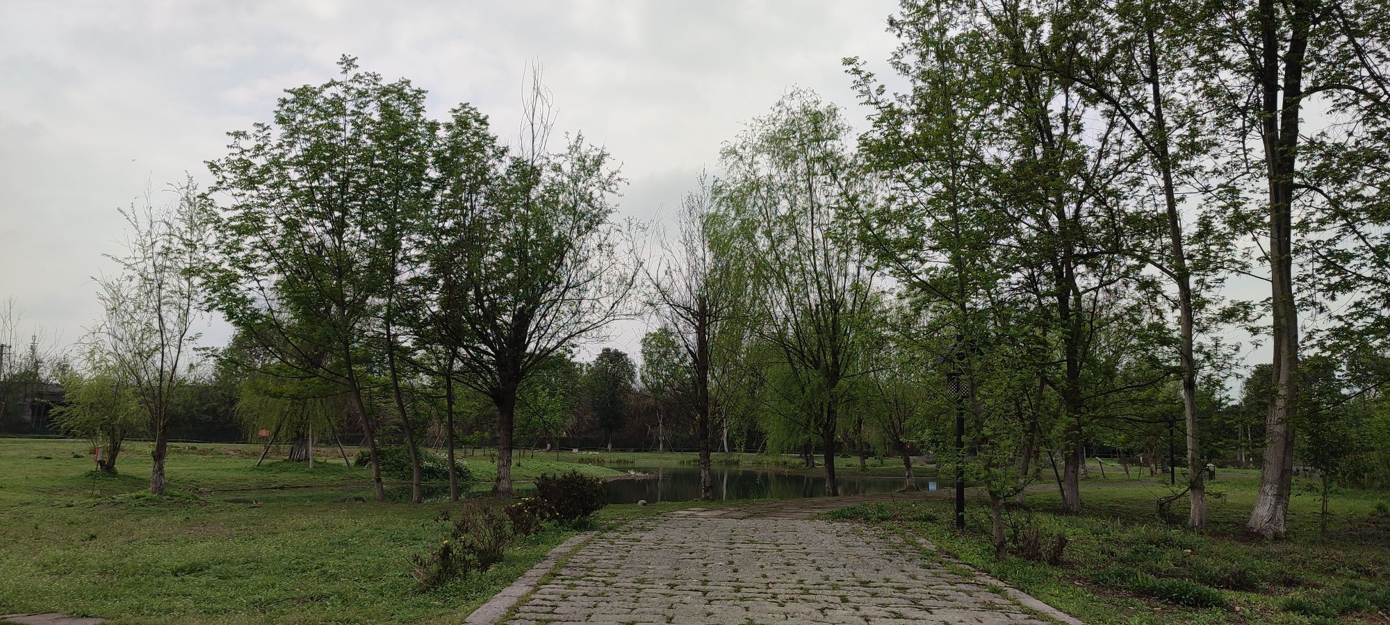 云桥湿地公园旅行图片