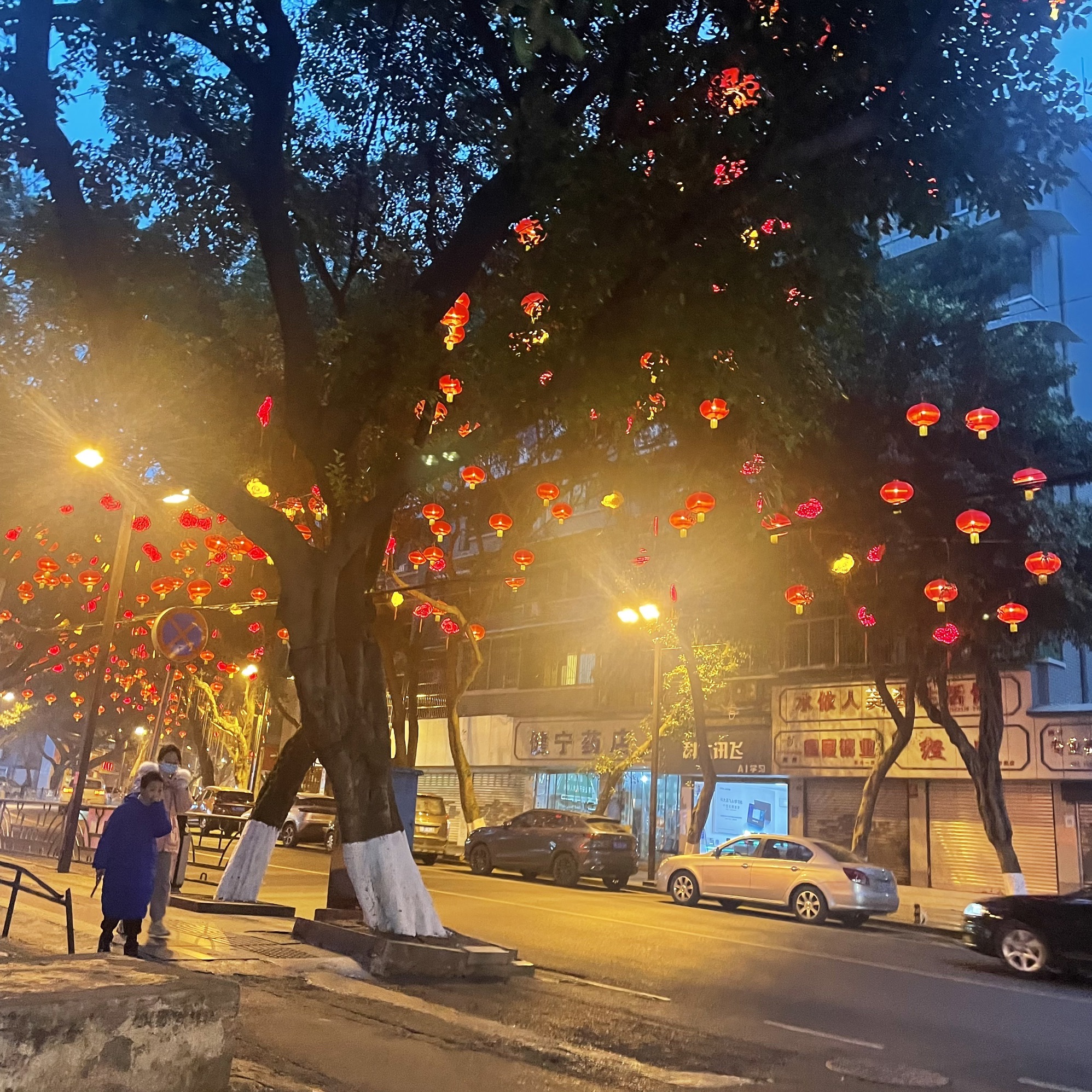海棠公园旅行图片