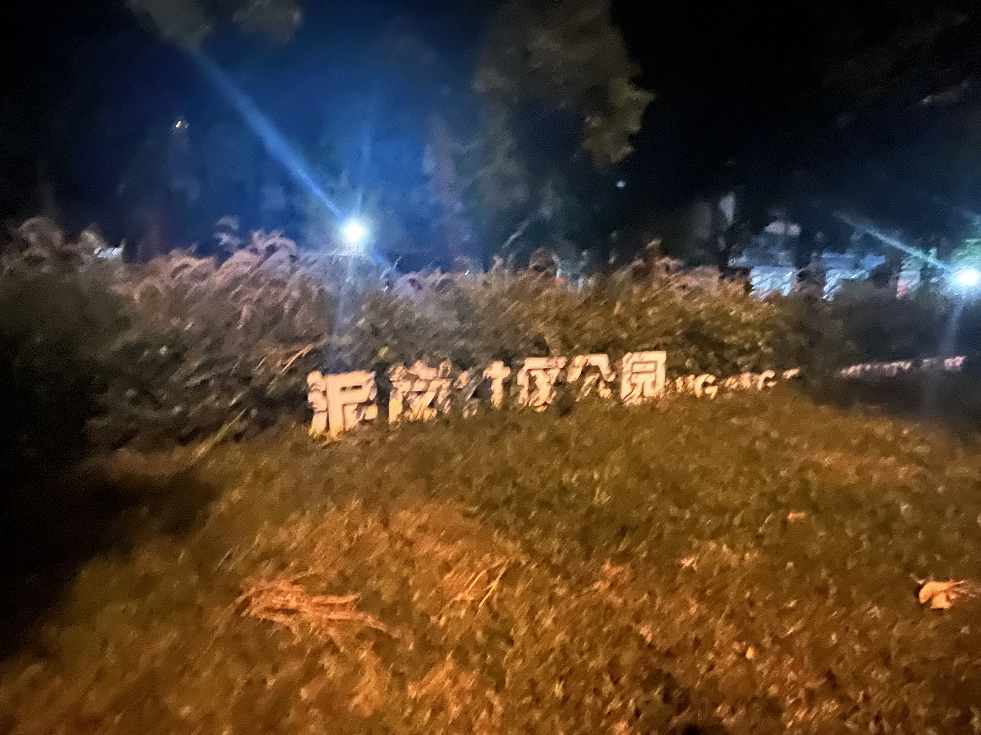 泥岗公园旅行图片
