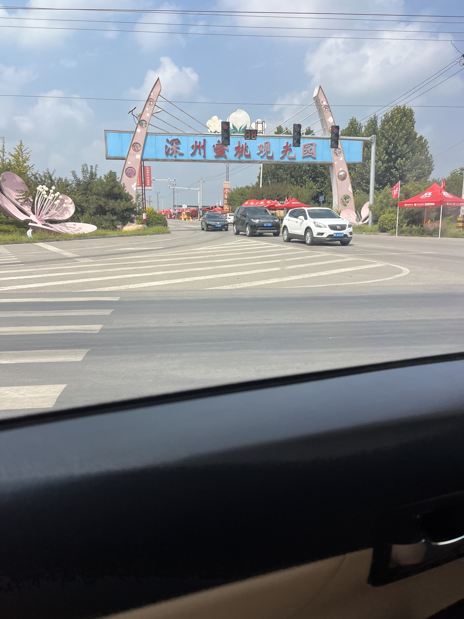 深州蜜桃观光园