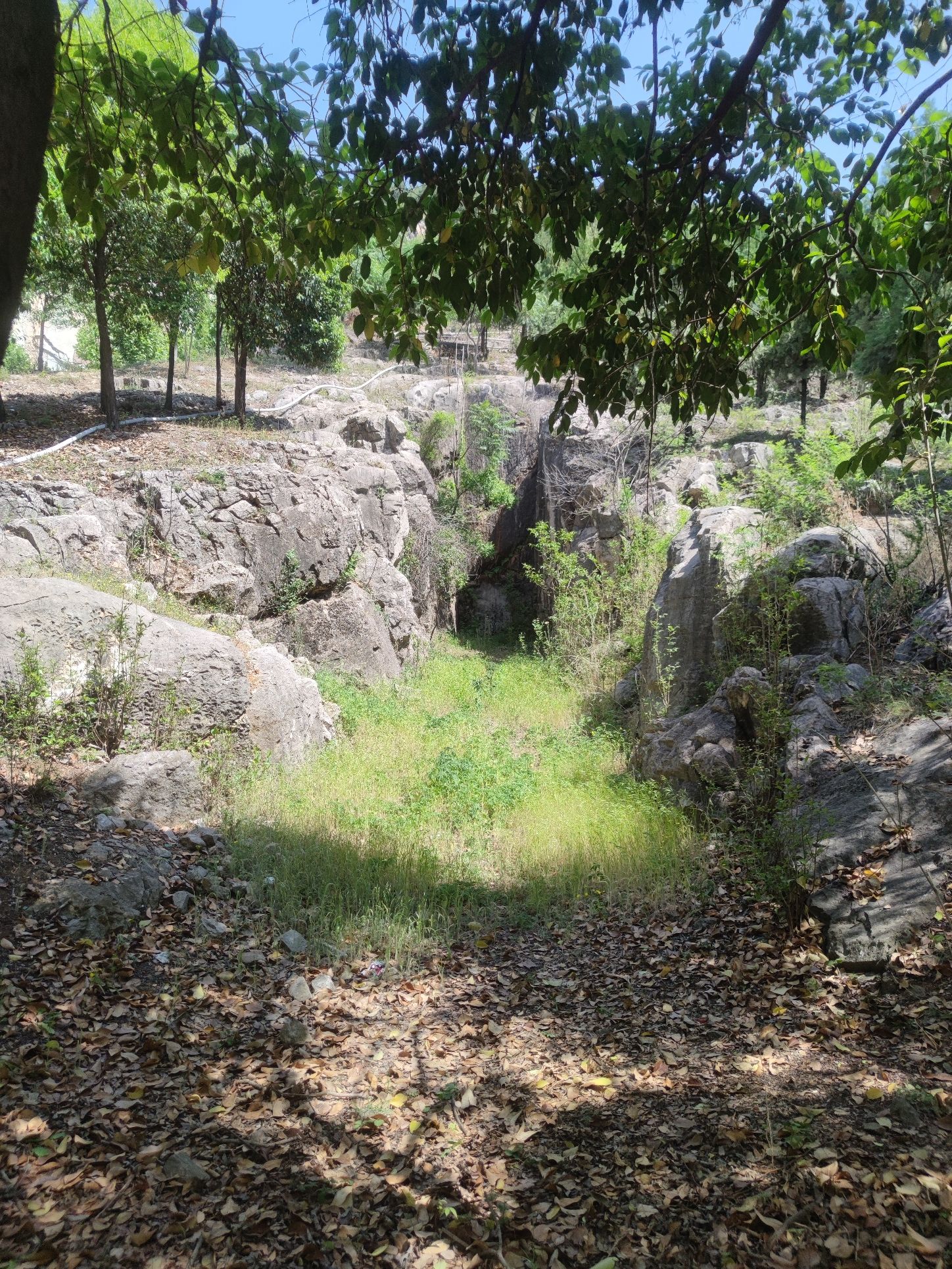 南洞山汉墓