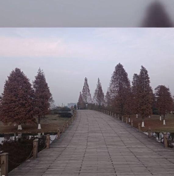 节庆广场