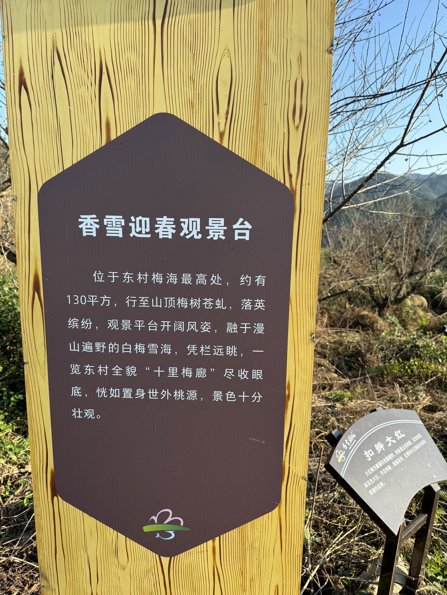 柯桥香雪梅海景区