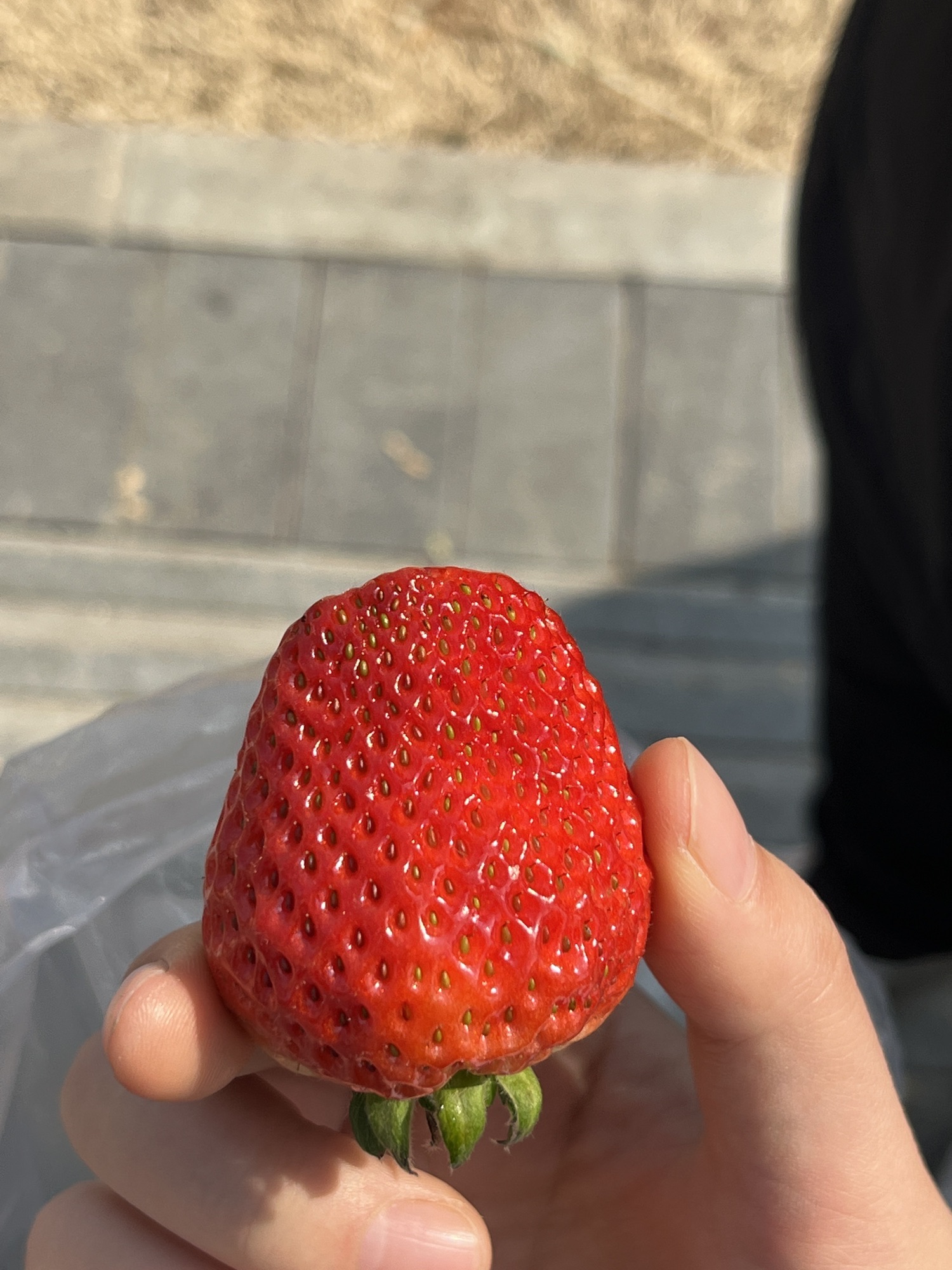南湖公园旅行图片