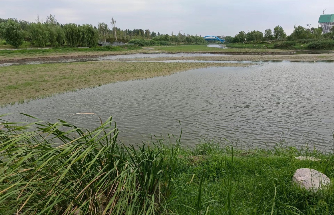 南湖公园旅行图片