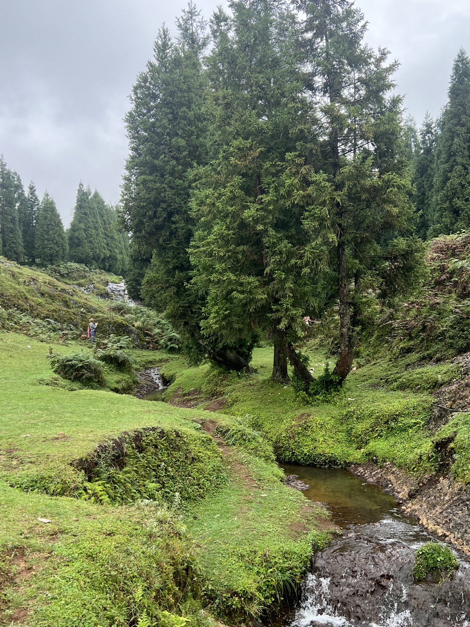 乌蒙大草原旅行图片
