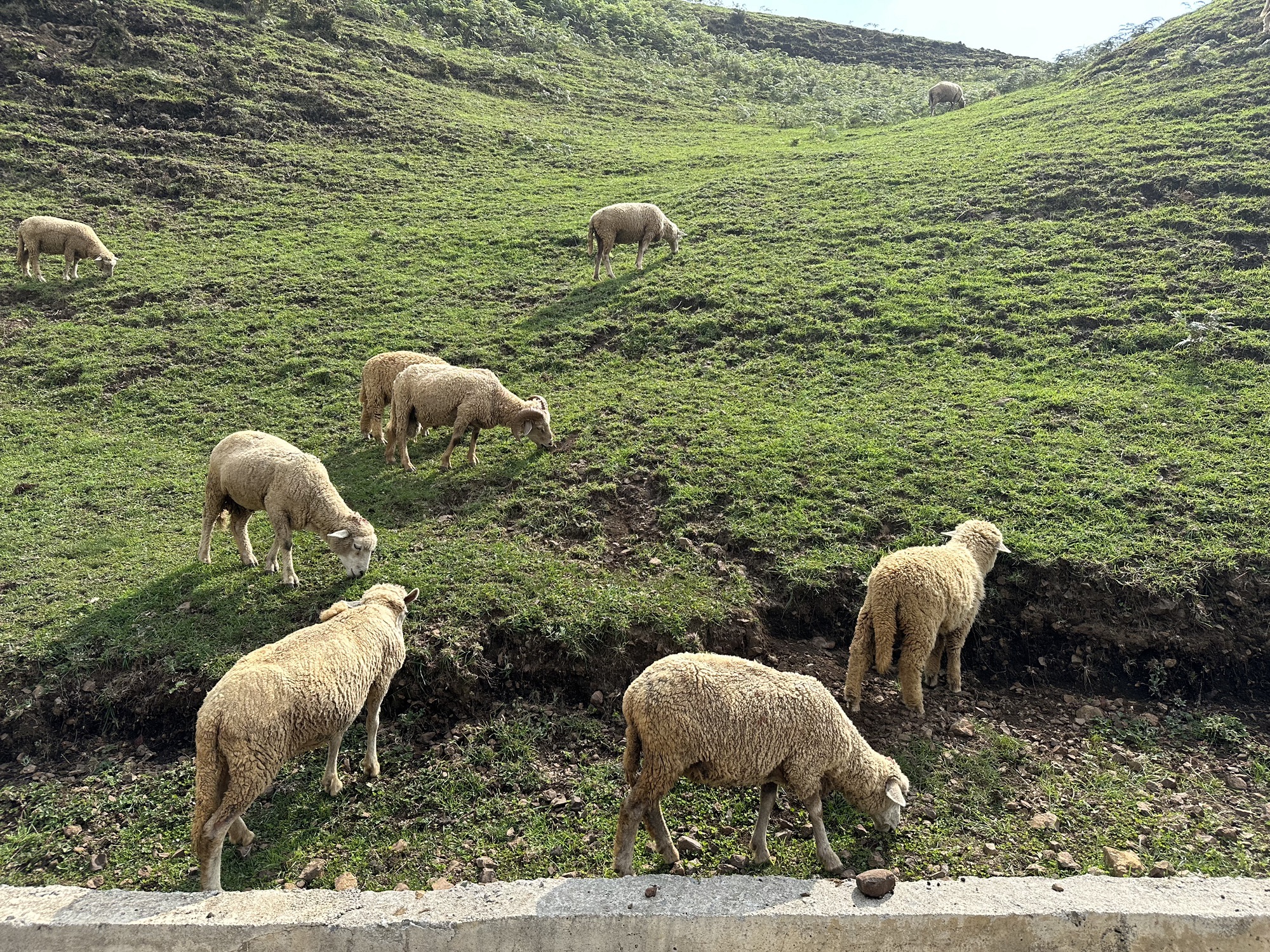 乌蒙大草原旅行图片