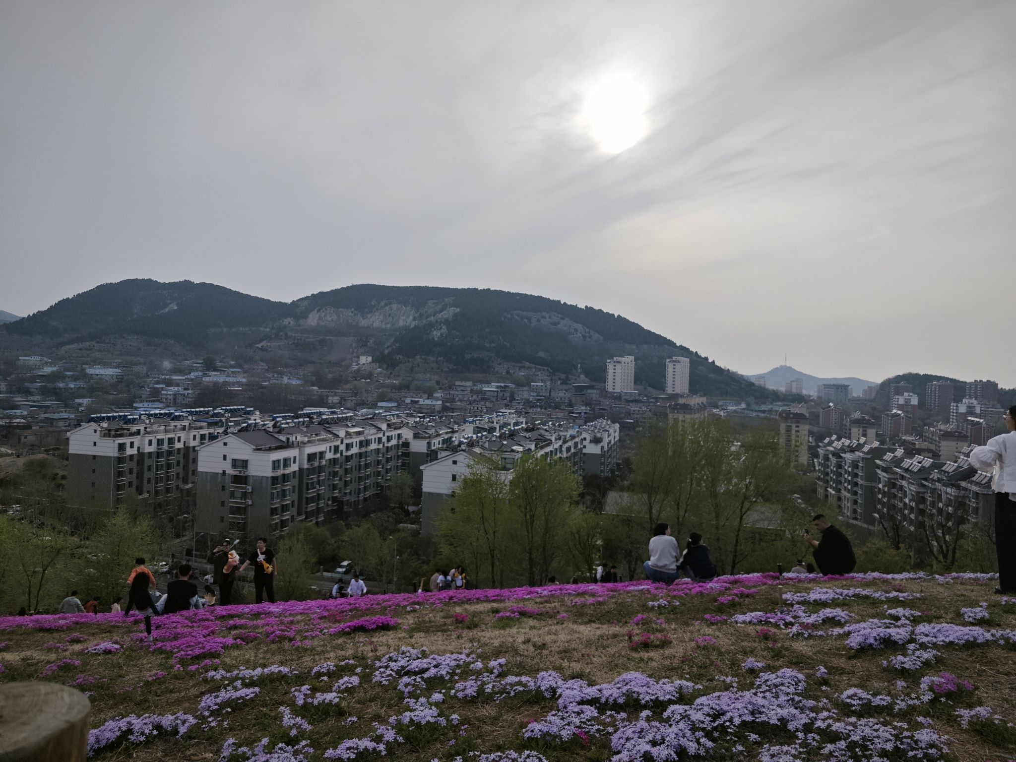 牧牛山山体公园