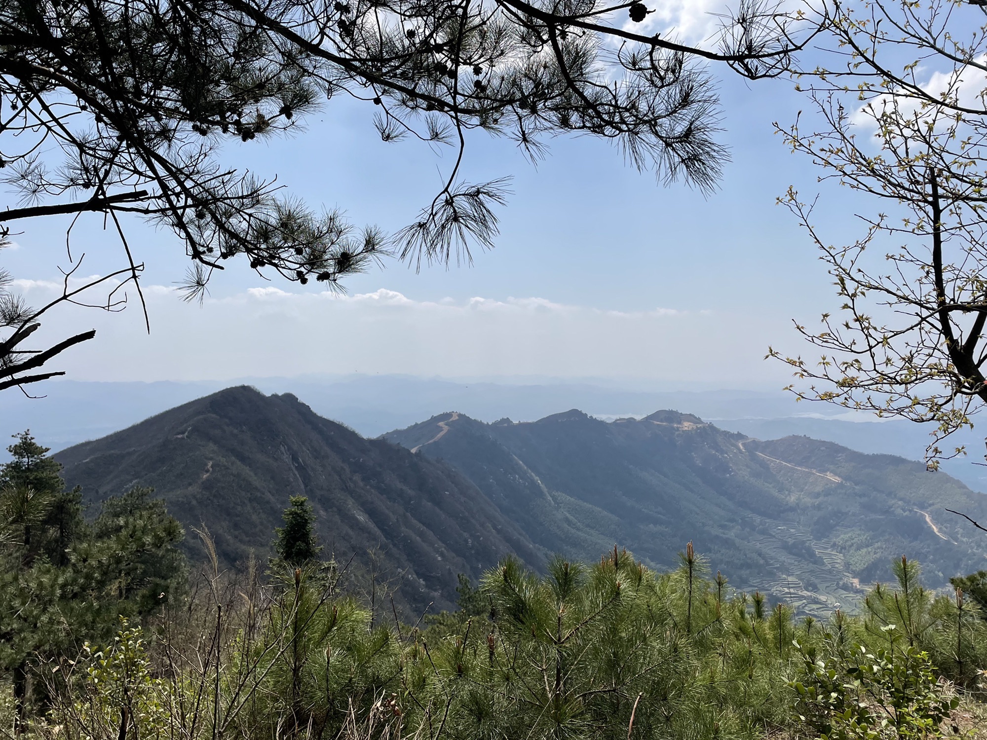 相思山景区旅行图片