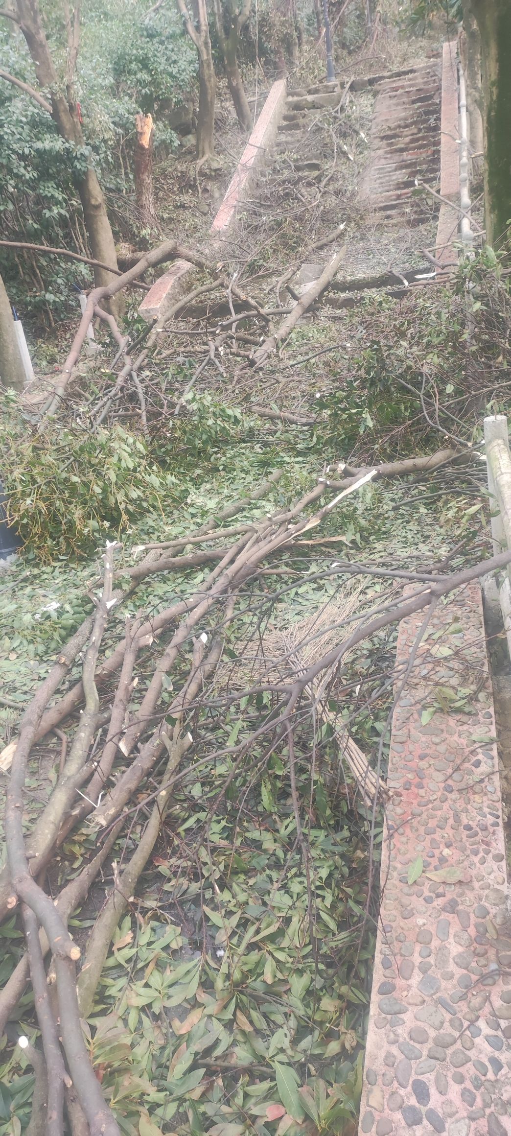相思山景区旅行图片