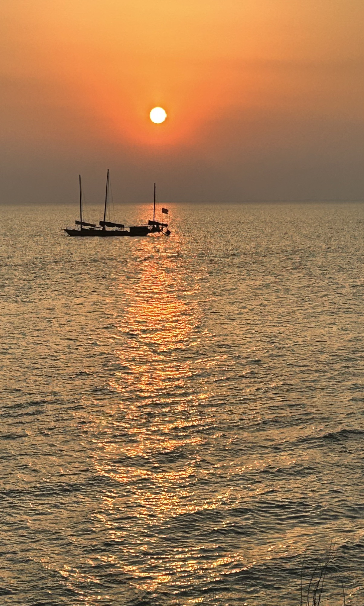 杨家坞遗址旅行图片