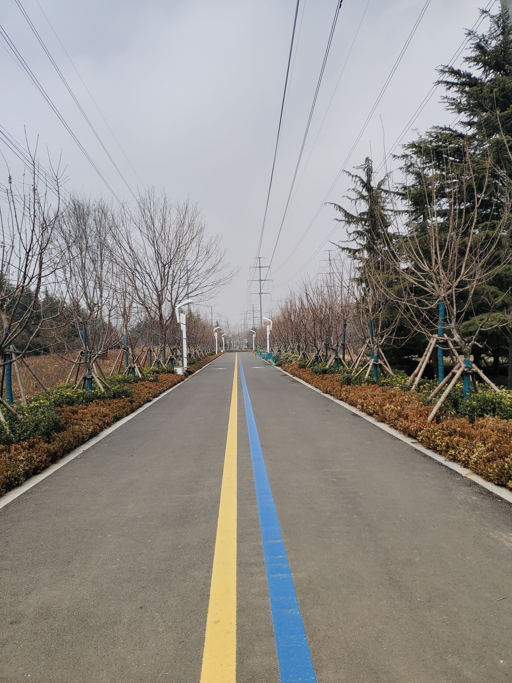 李沧区健康主题公园旅行图片
