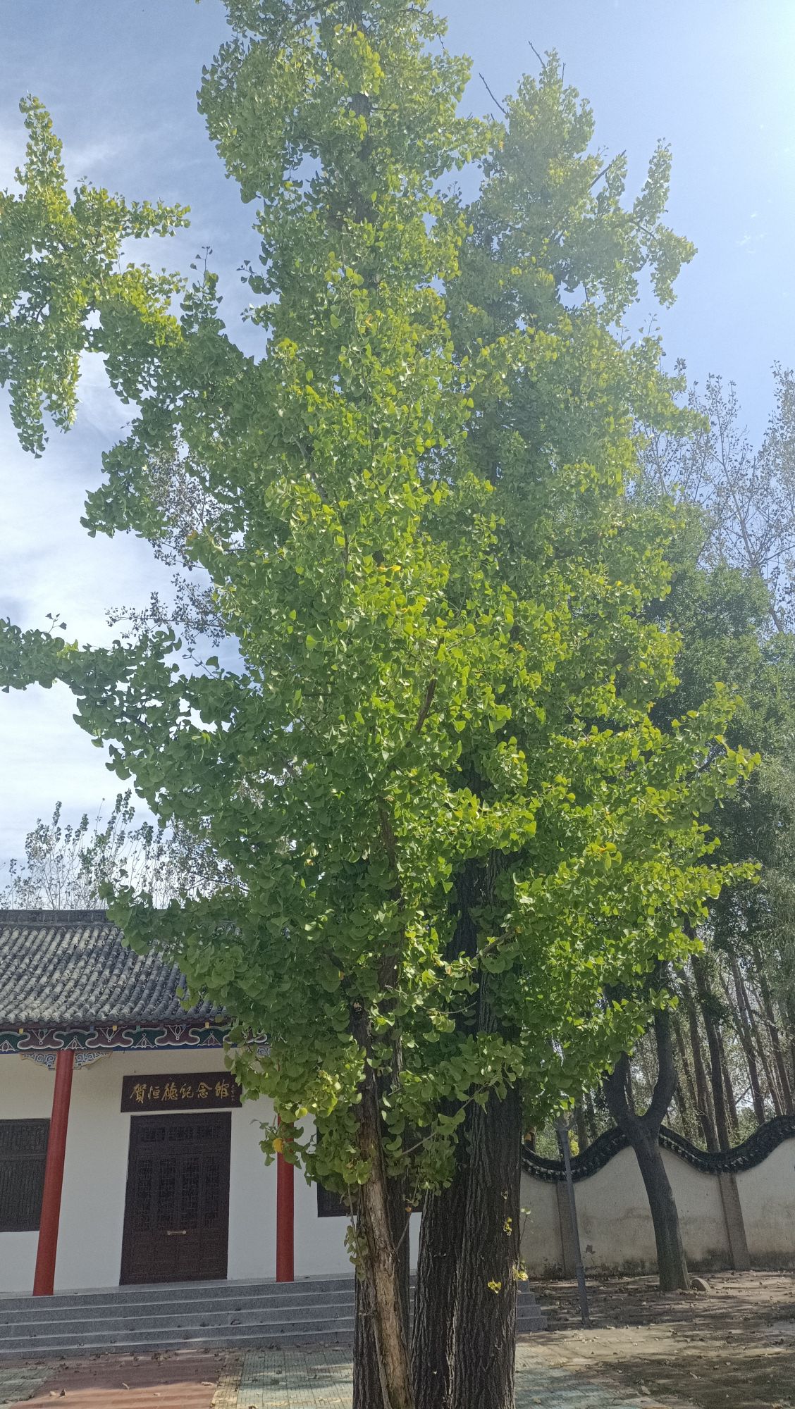 中原民俗园
