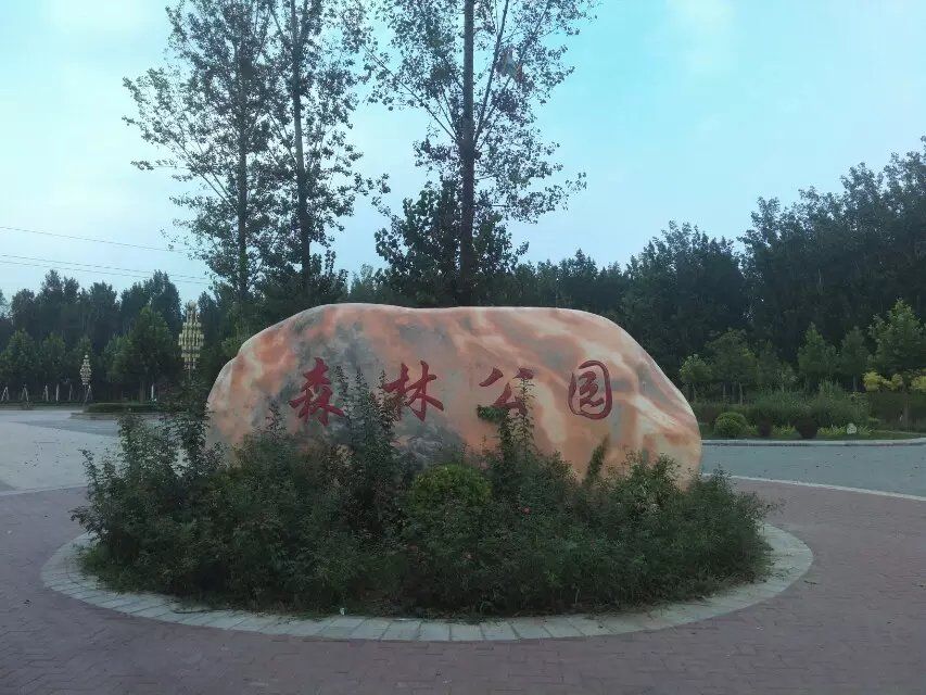 森林公园旅行图片