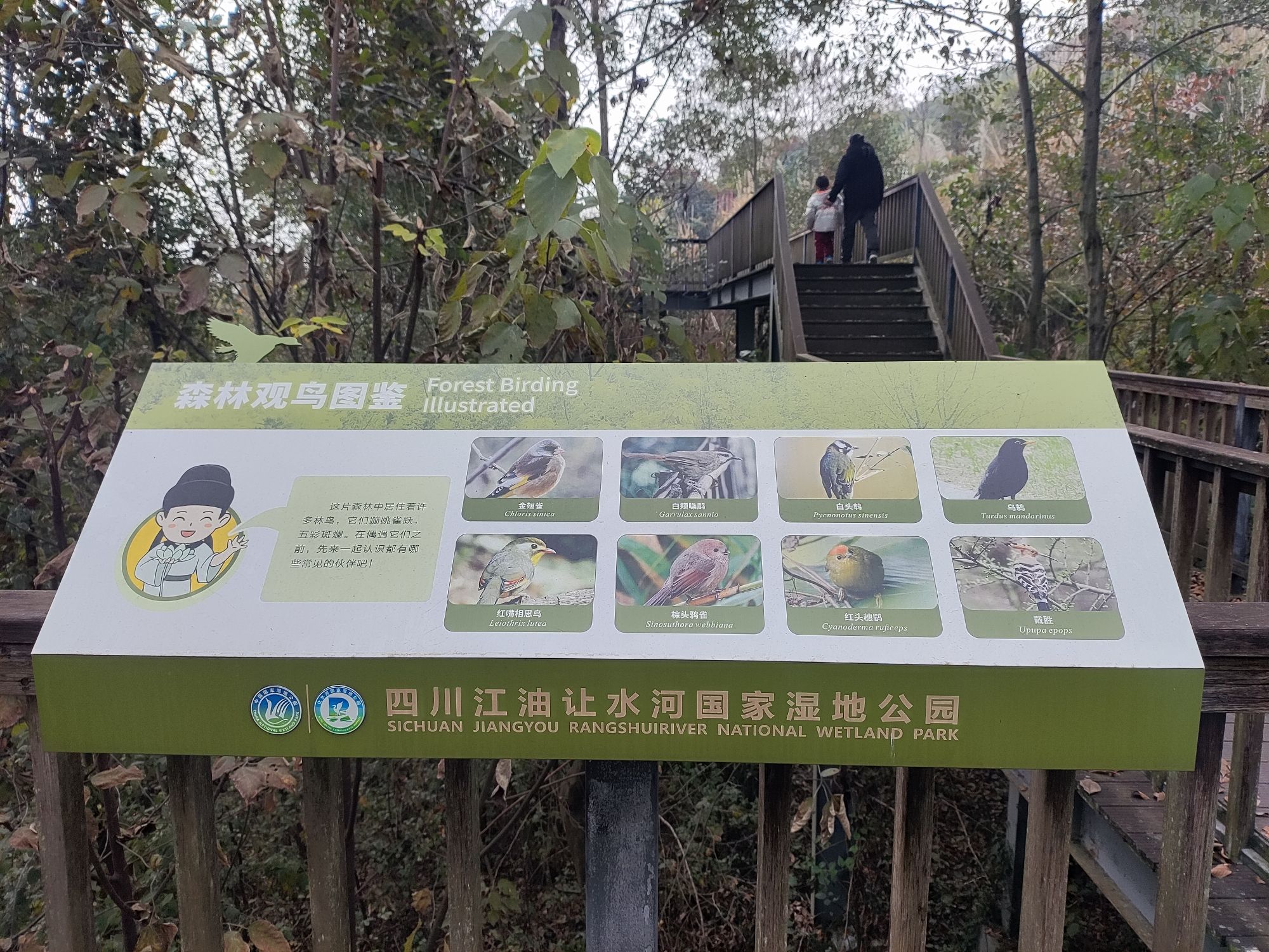 让水河公园