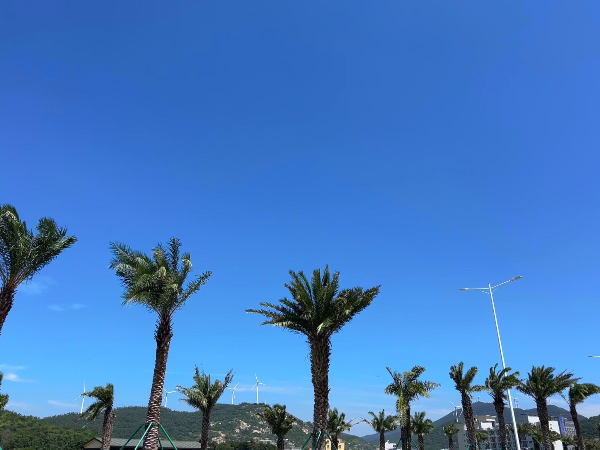 珍珠湾