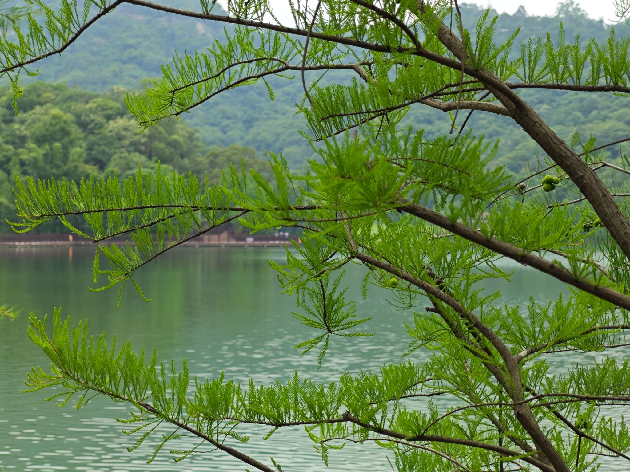 新会石涧公园