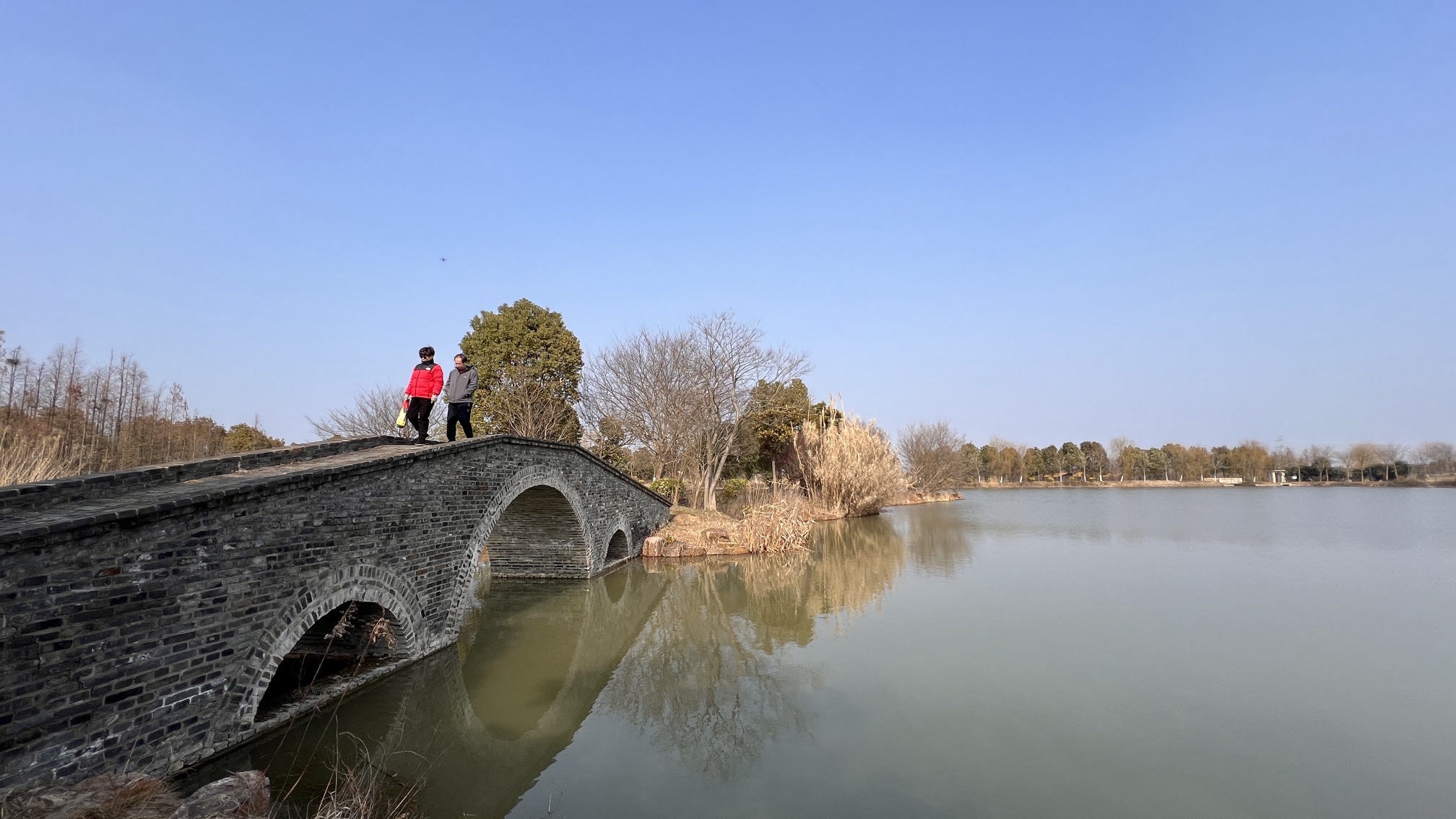 林海生态园旅行图片
