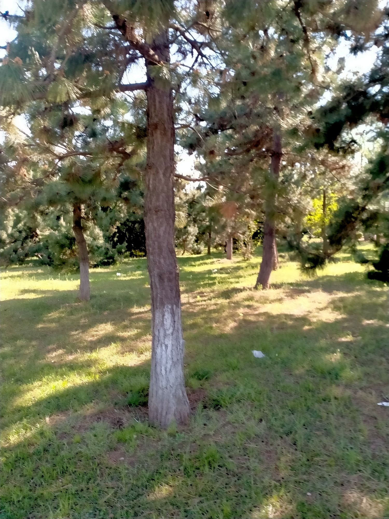 英雄山公园旅行图片
