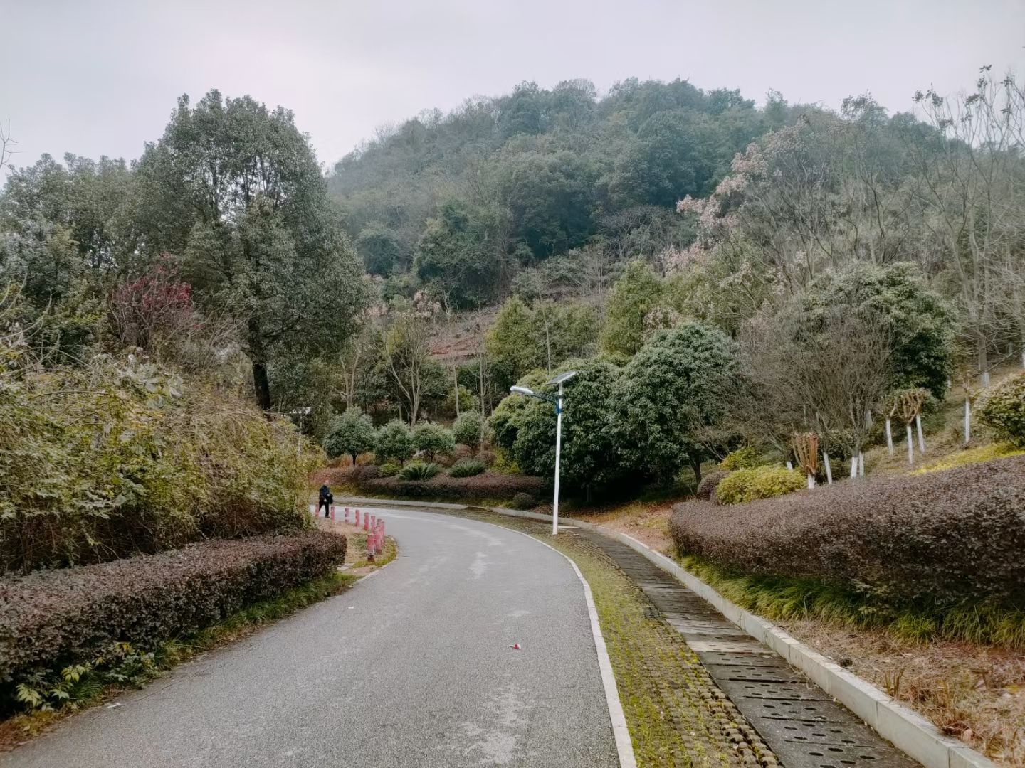 九老峰景区旅行图片