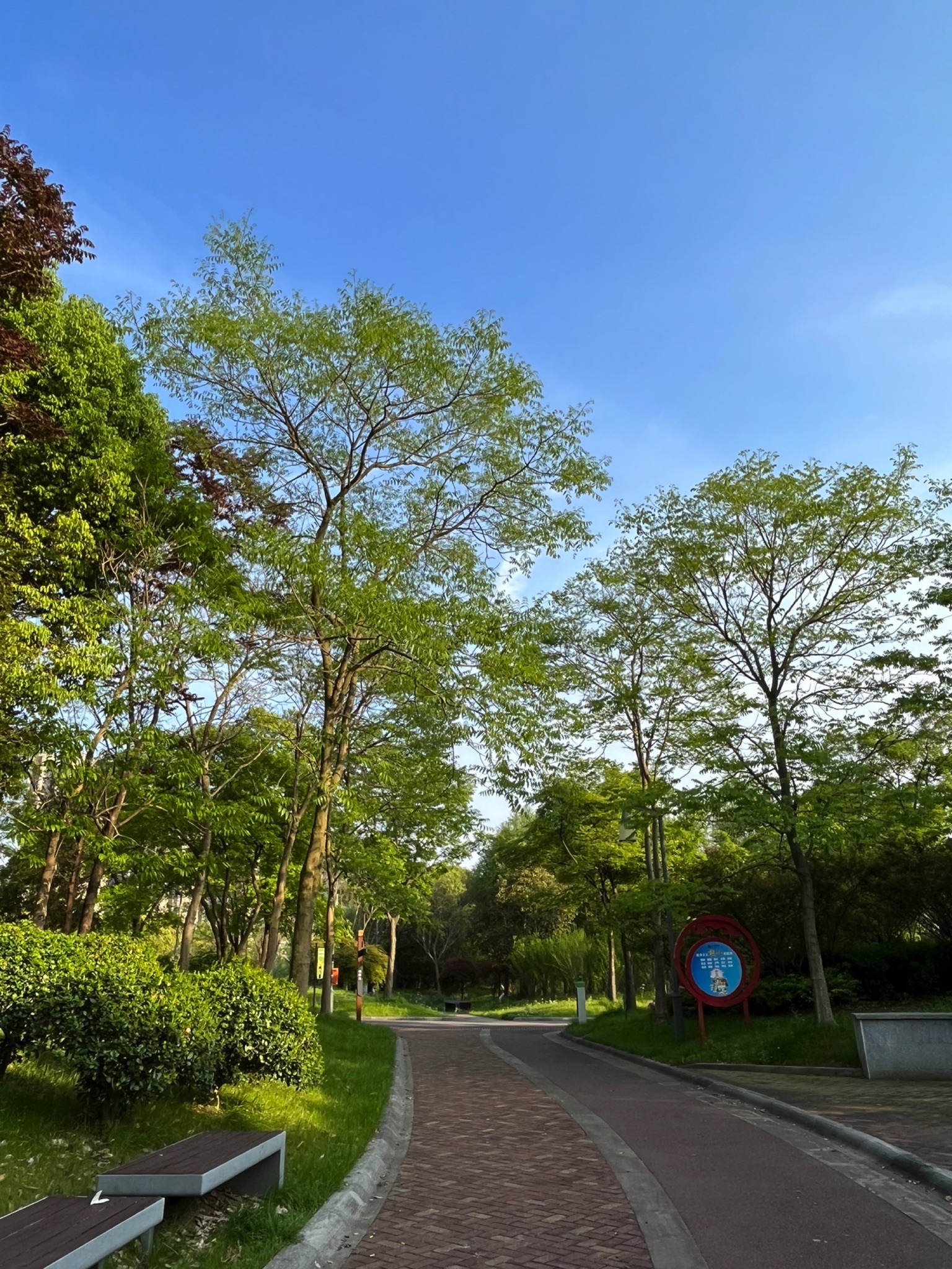 江海文化公园旅行图片