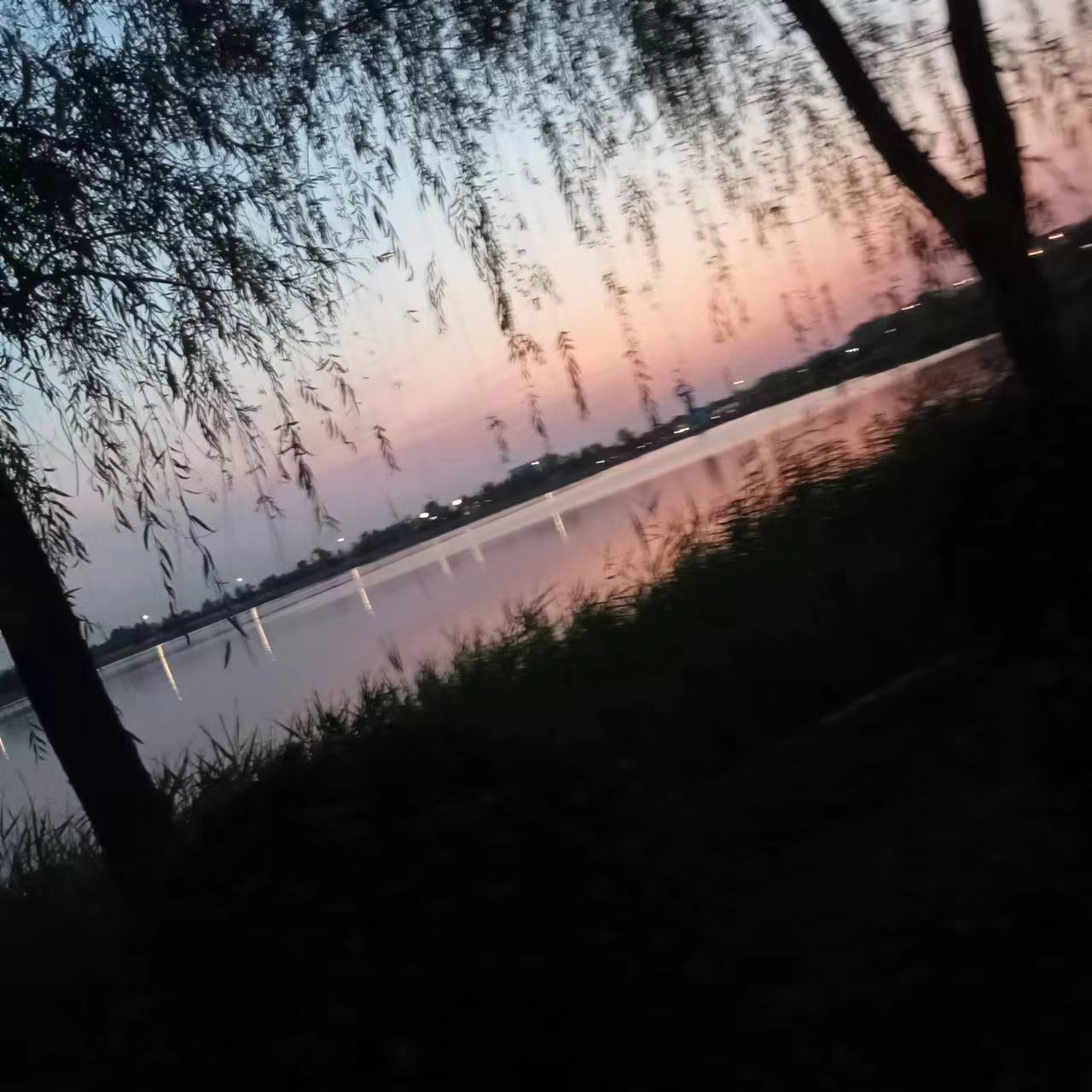 龙湖公园