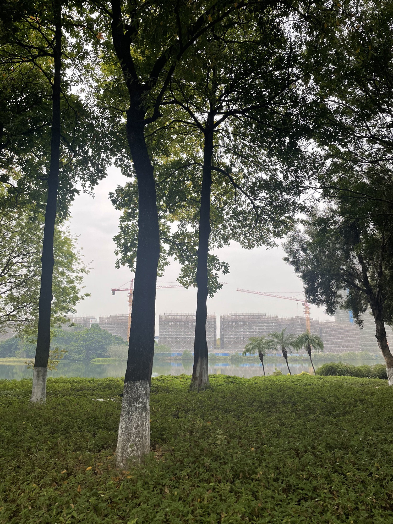 湖心公园