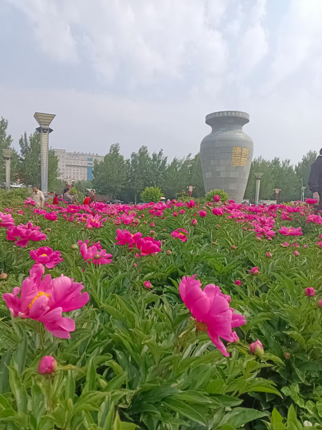 延寿蚂蜒河国家湿地公园旅行图片