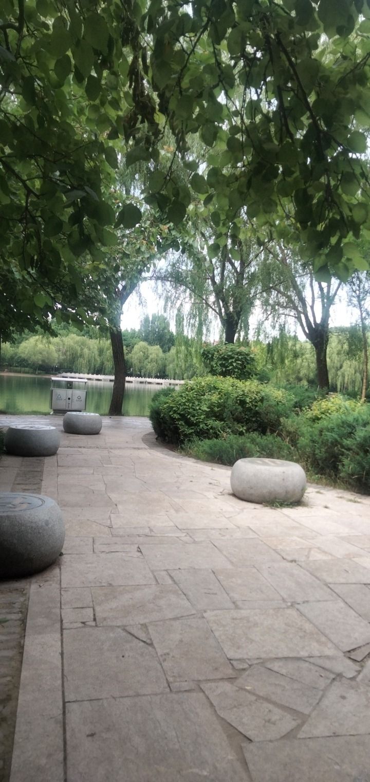 六朝园旅行图片