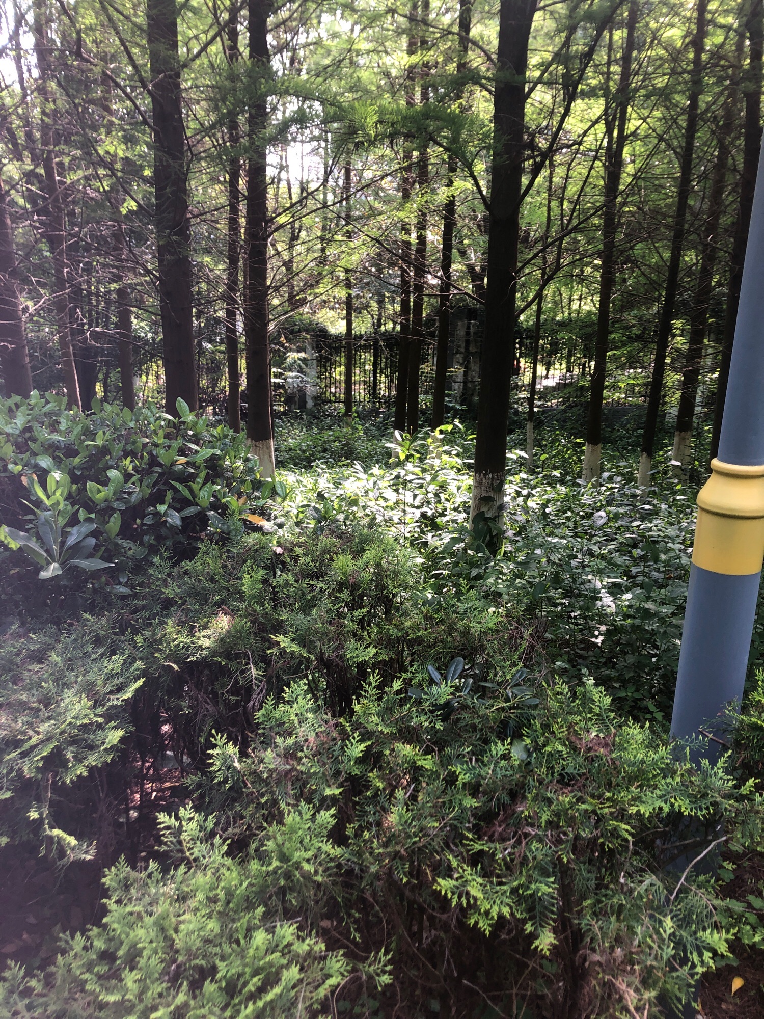 黄岗山公园