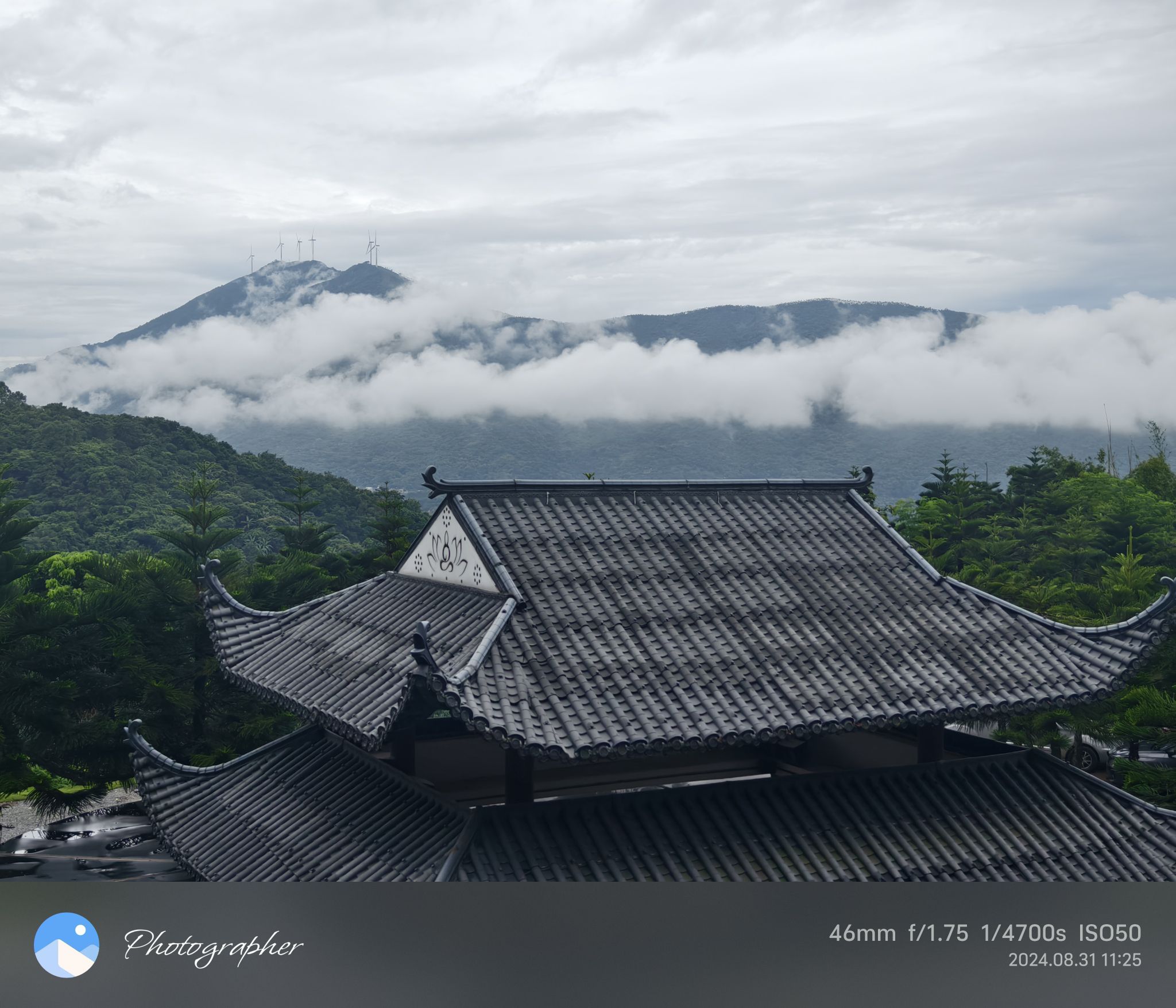 信愿寺